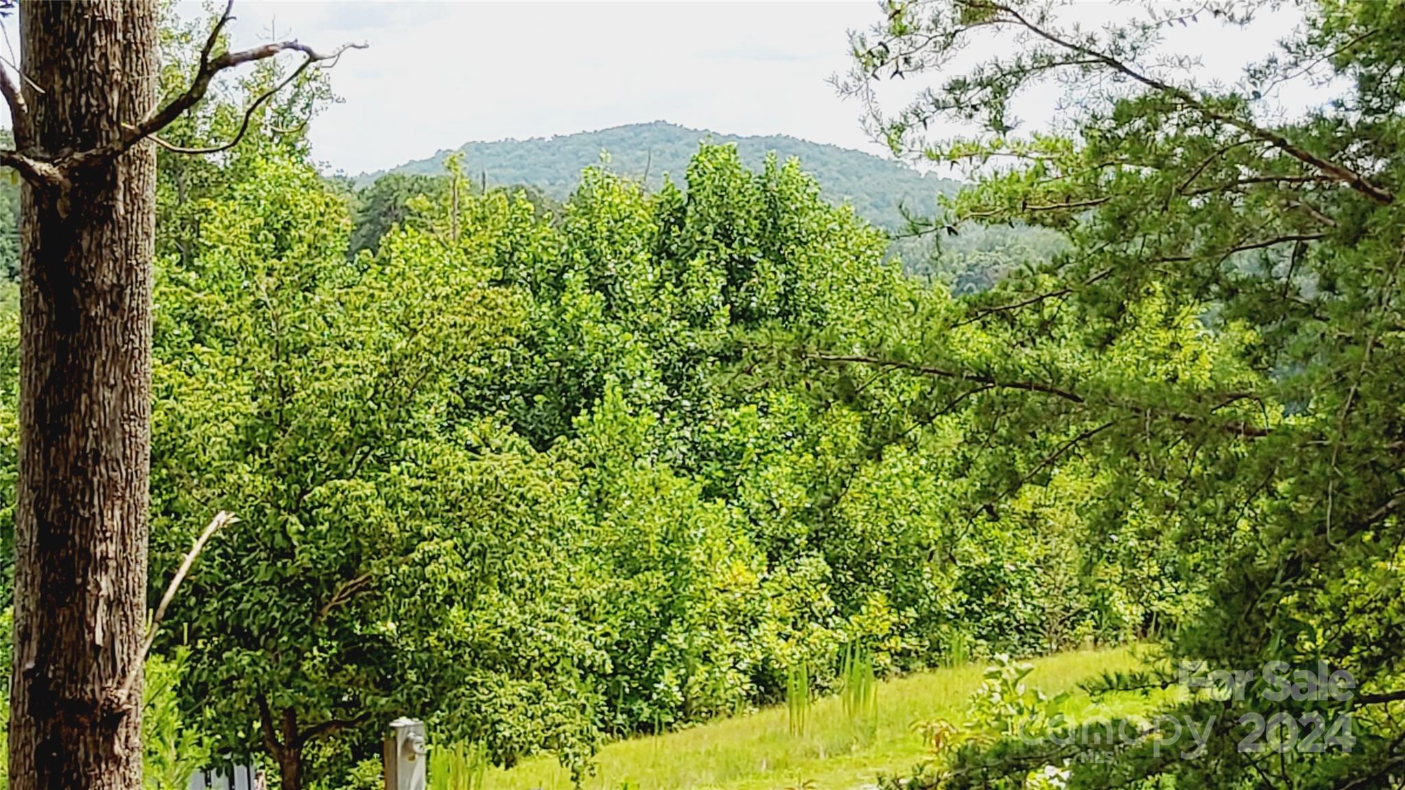 00 Wambli Pass Lake Lure NC 28746
