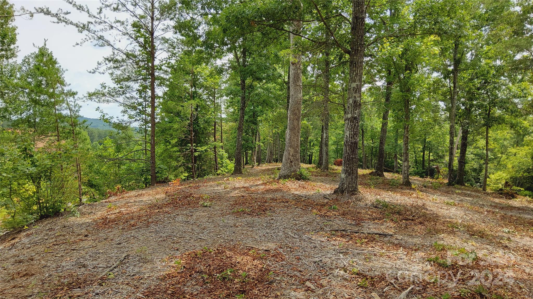 00 Wambli Pass Lake Lure NC 28746