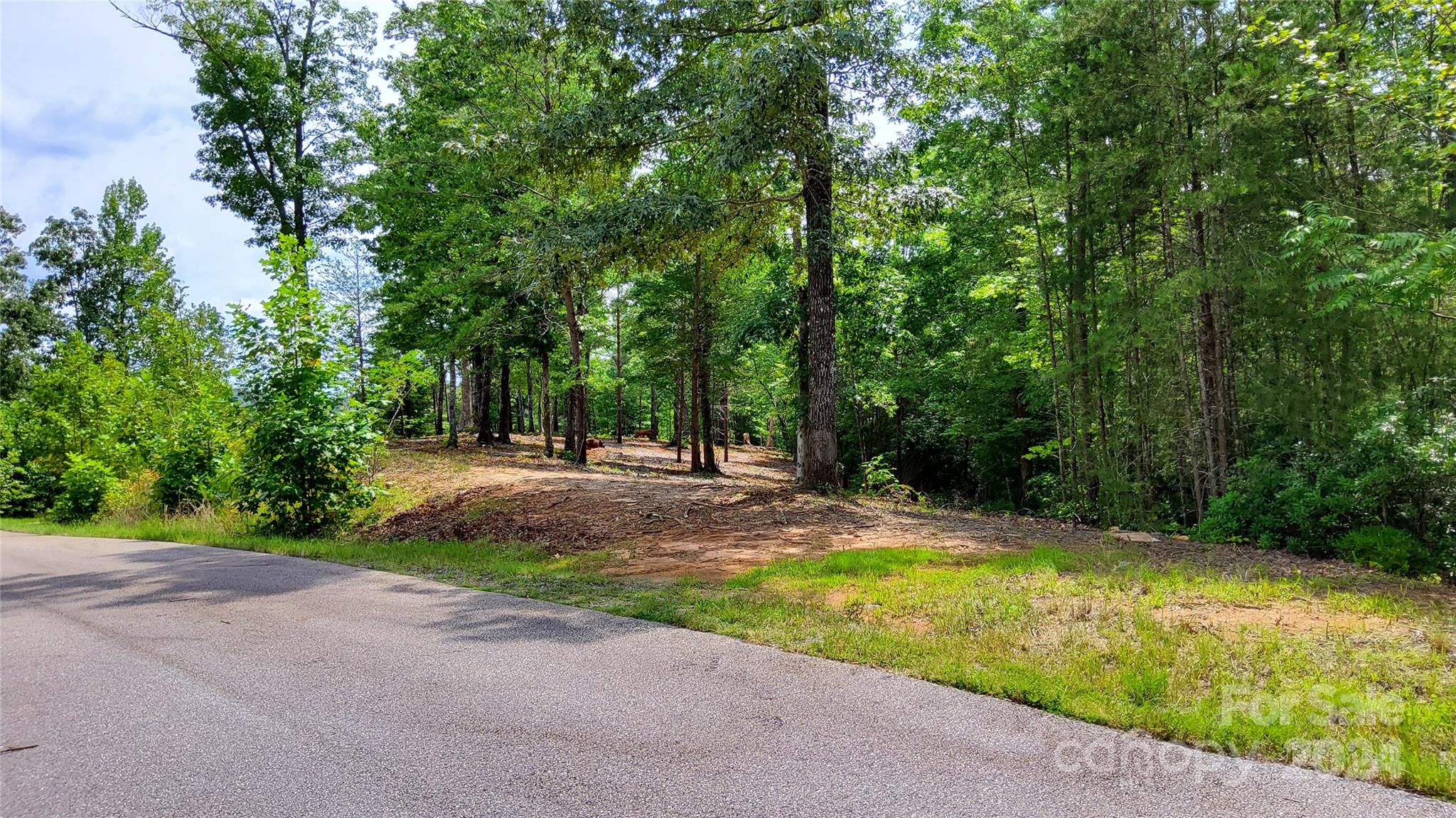 00 Wambli Pass Lake Lure NC 28746