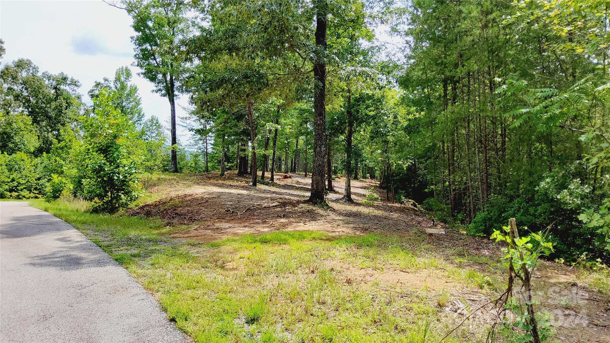 00 Wambli Pass Lake Lure NC 28746