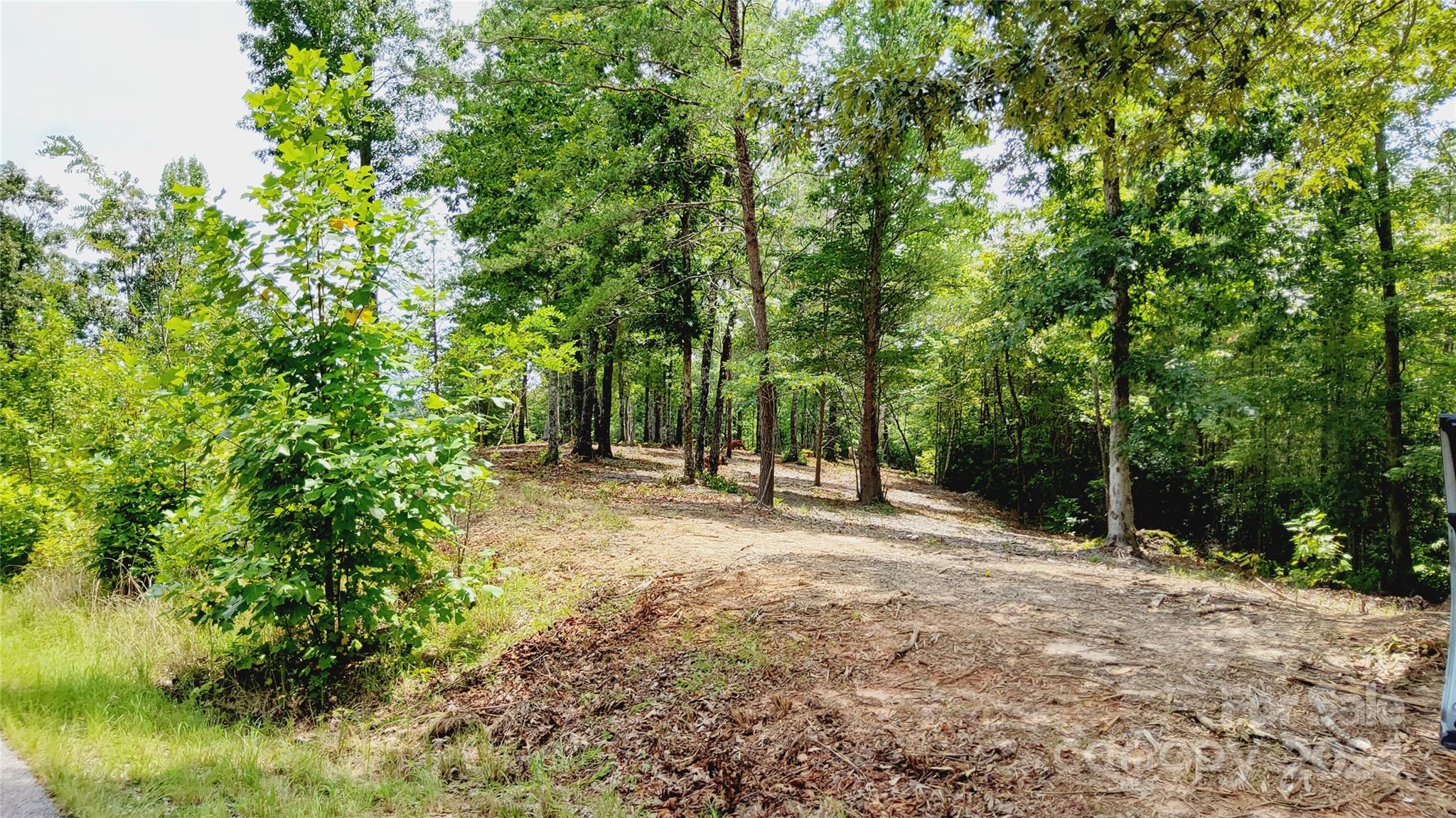 00 Wambli Pass Lake Lure NC 28746