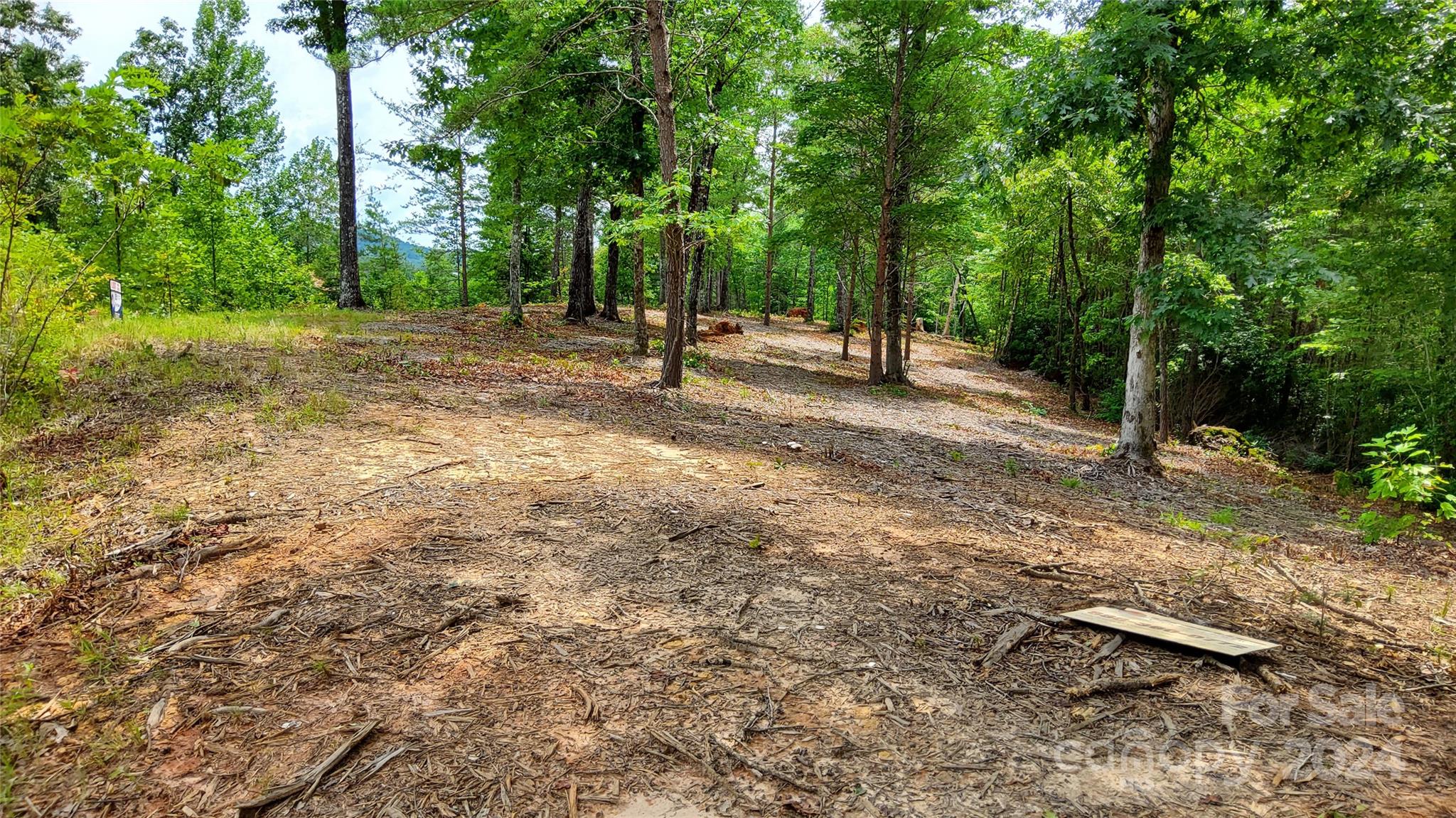 00 Wambli Pass Lake Lure NC 28746
