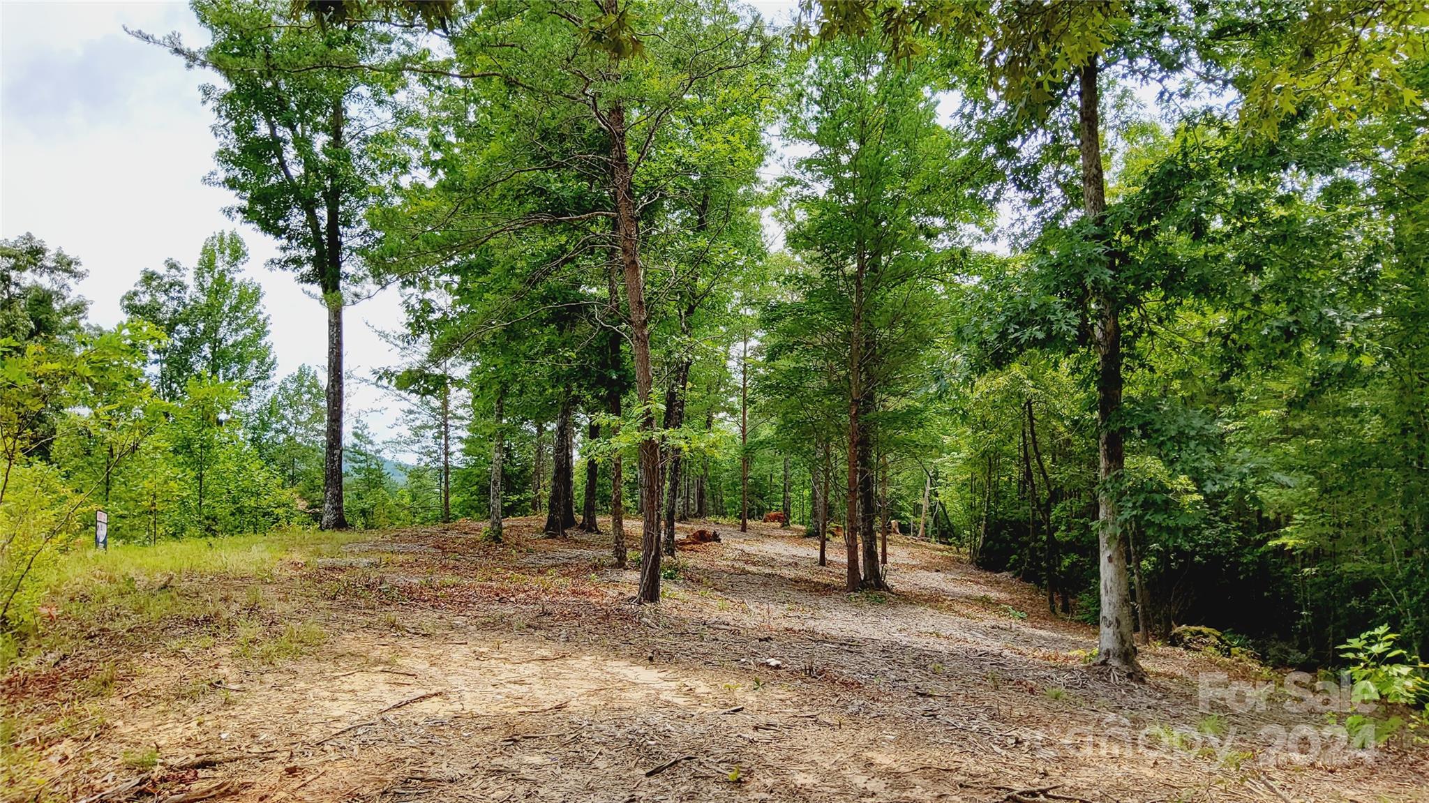 00 Wambli Pass Lake Lure NC 28746