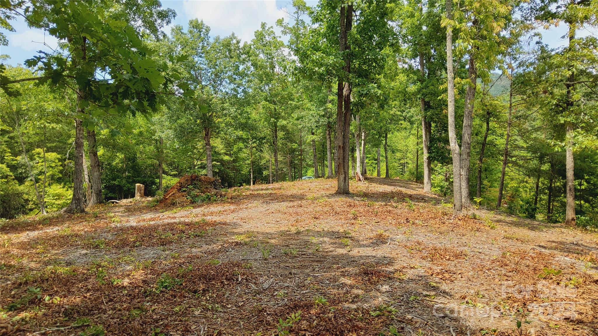 00 Wambli Pass Lake Lure NC 28746