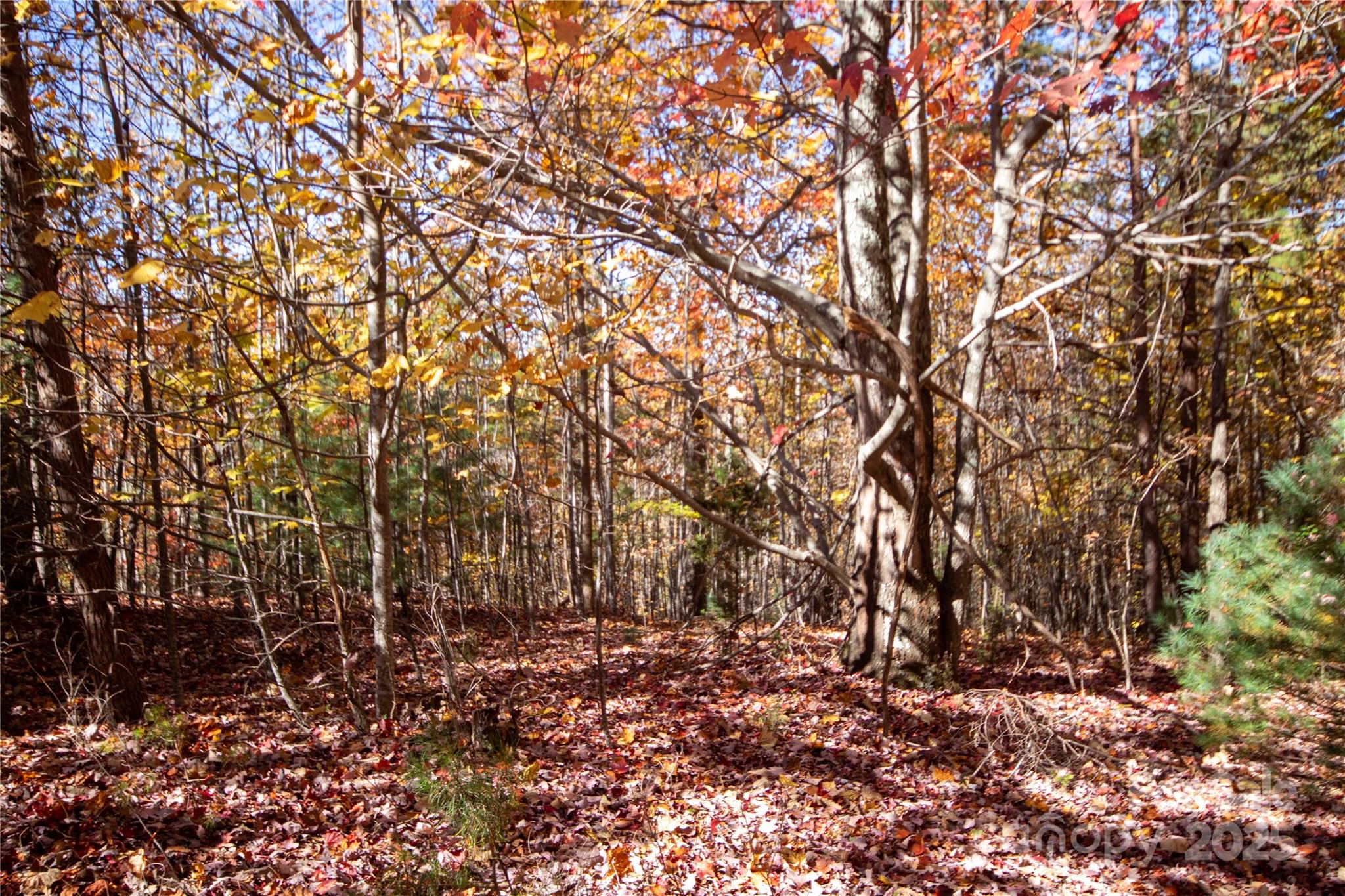 Lot# 4 Peregrine Terrace Lenoir NC 28645