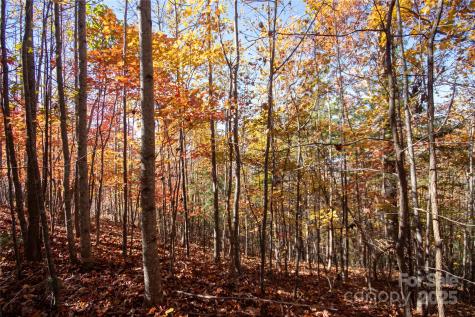 Lot# 4 Peregrine Terrace Lenoir NC 28645