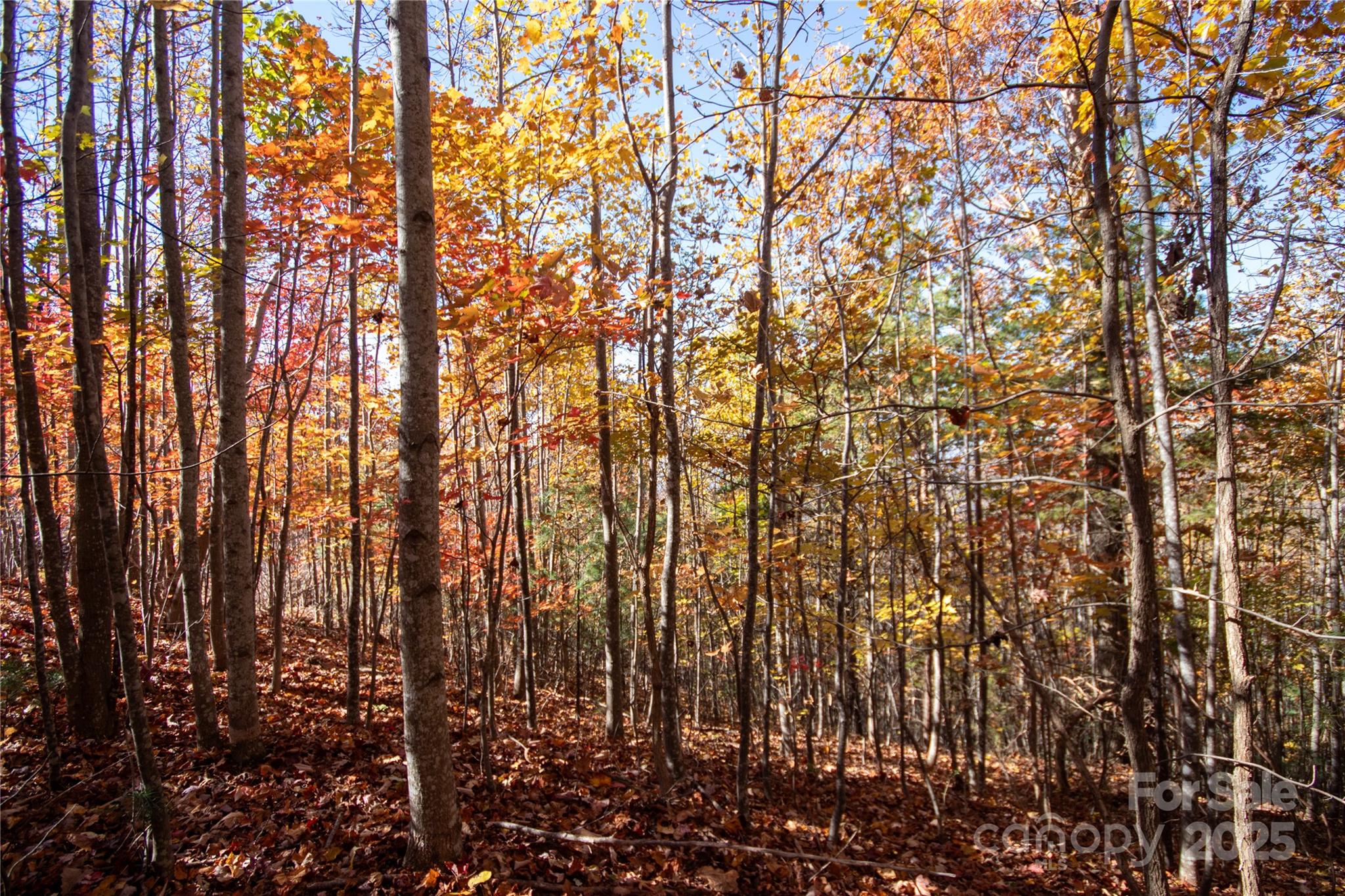 Lot# 4 Peregrine Terrace Lenoir NC 28645