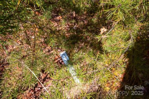 Lot# 4 Peregrine Terrace Lenoir NC 28645