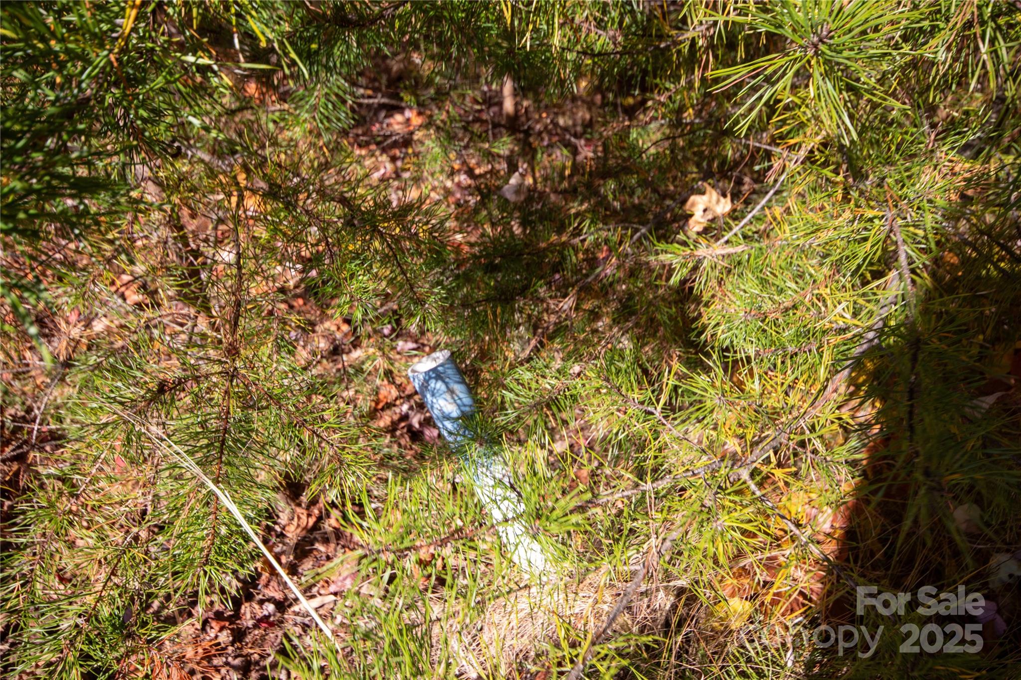 Lot# 4 Peregrine Terrace Lenoir NC 28645