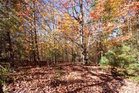 Lot# 4 Peregrine Terrace Lenoir NC 28645