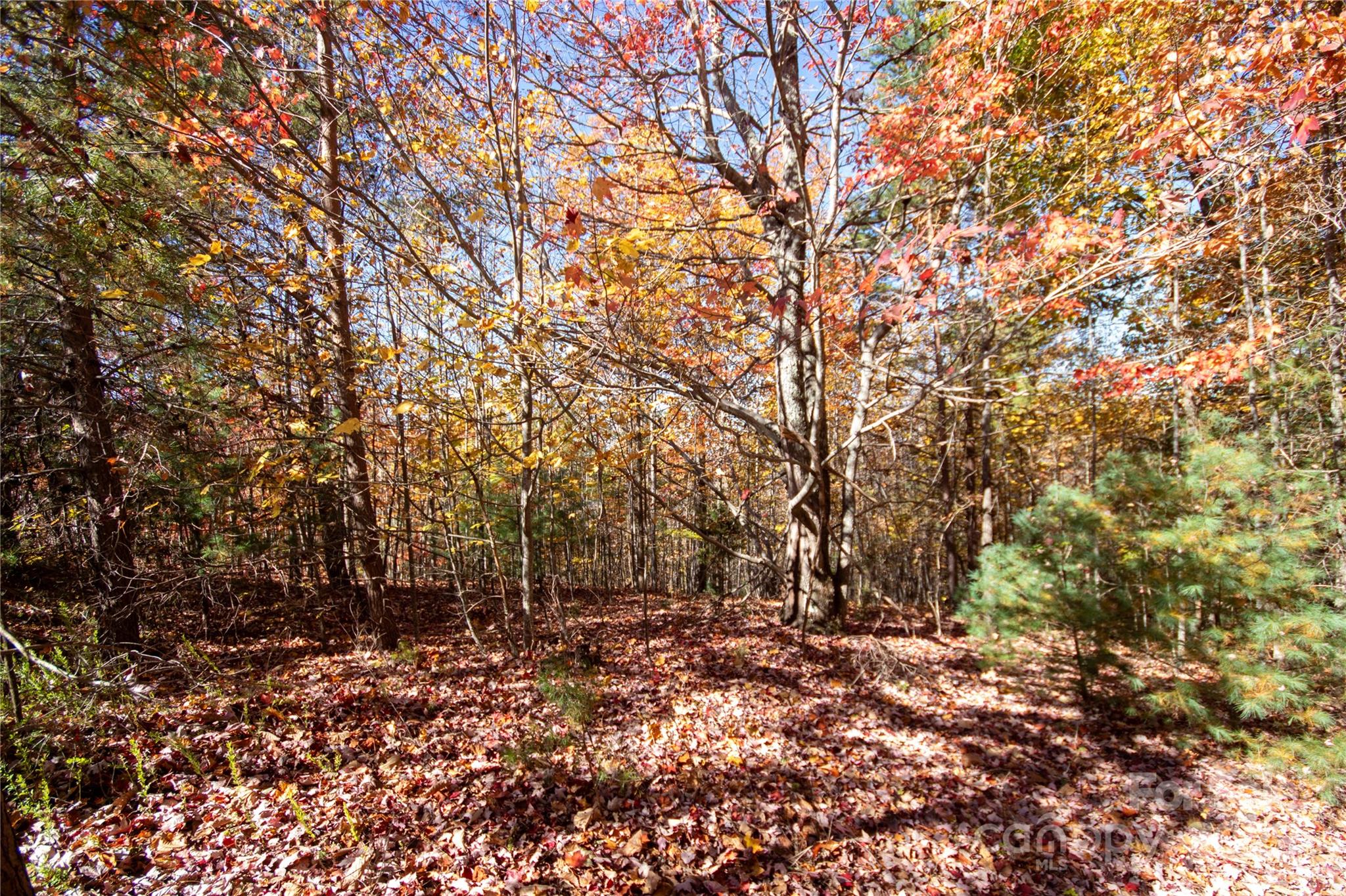 Lot# 4 Peregrine Terrace Lenoir NC 28645