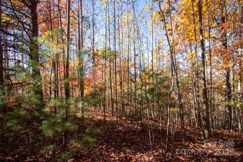 Lot# 4 Peregrine Terrace Lenoir NC 28645