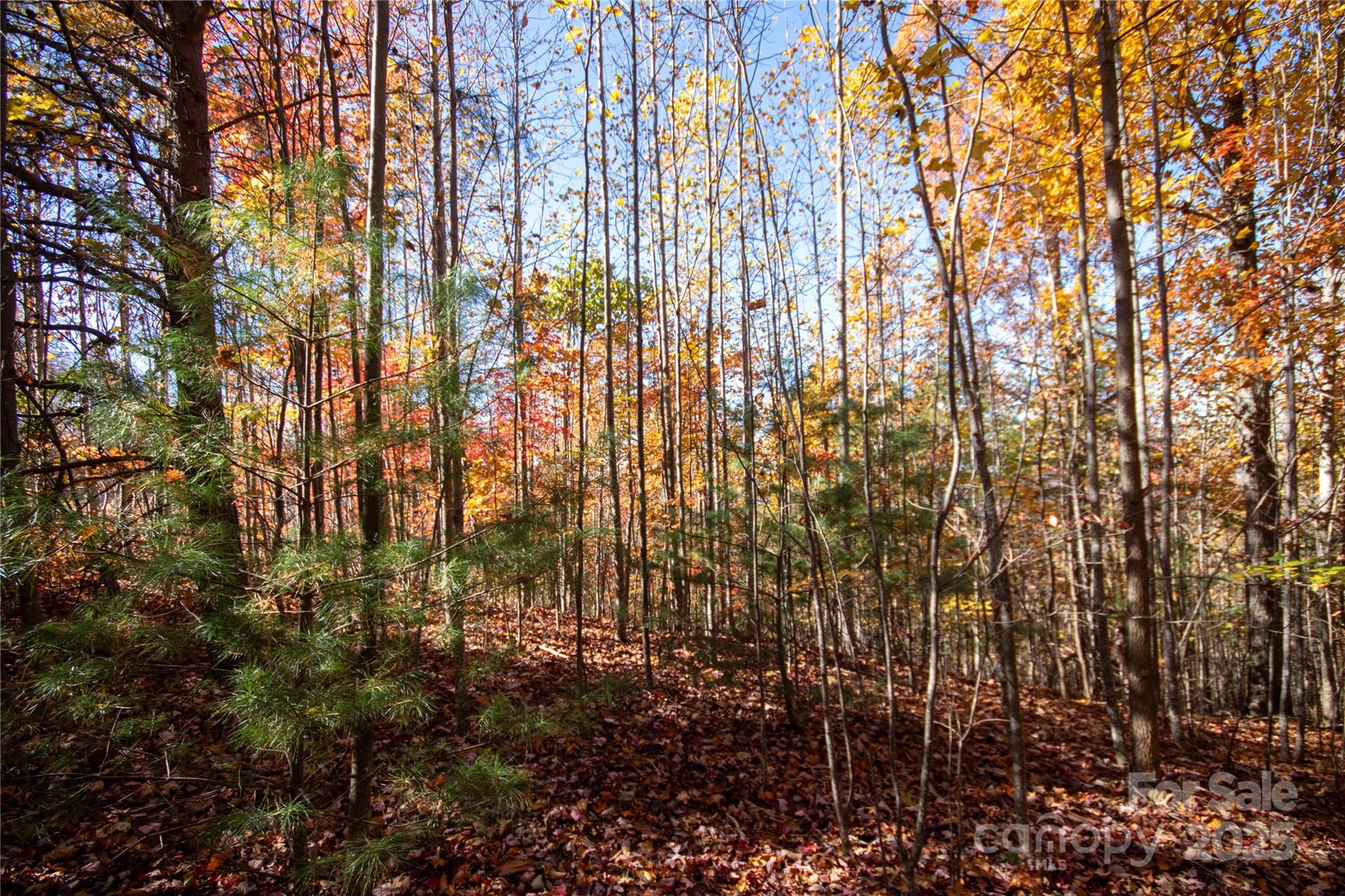 Lot# 4 Peregrine Terrace Lenoir NC 28645