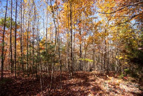 Lot# 4 Peregrine Terrace Lenoir NC 28645