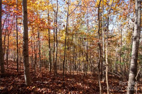 Lot# 4 Peregrine Terrace Lenoir NC 28645