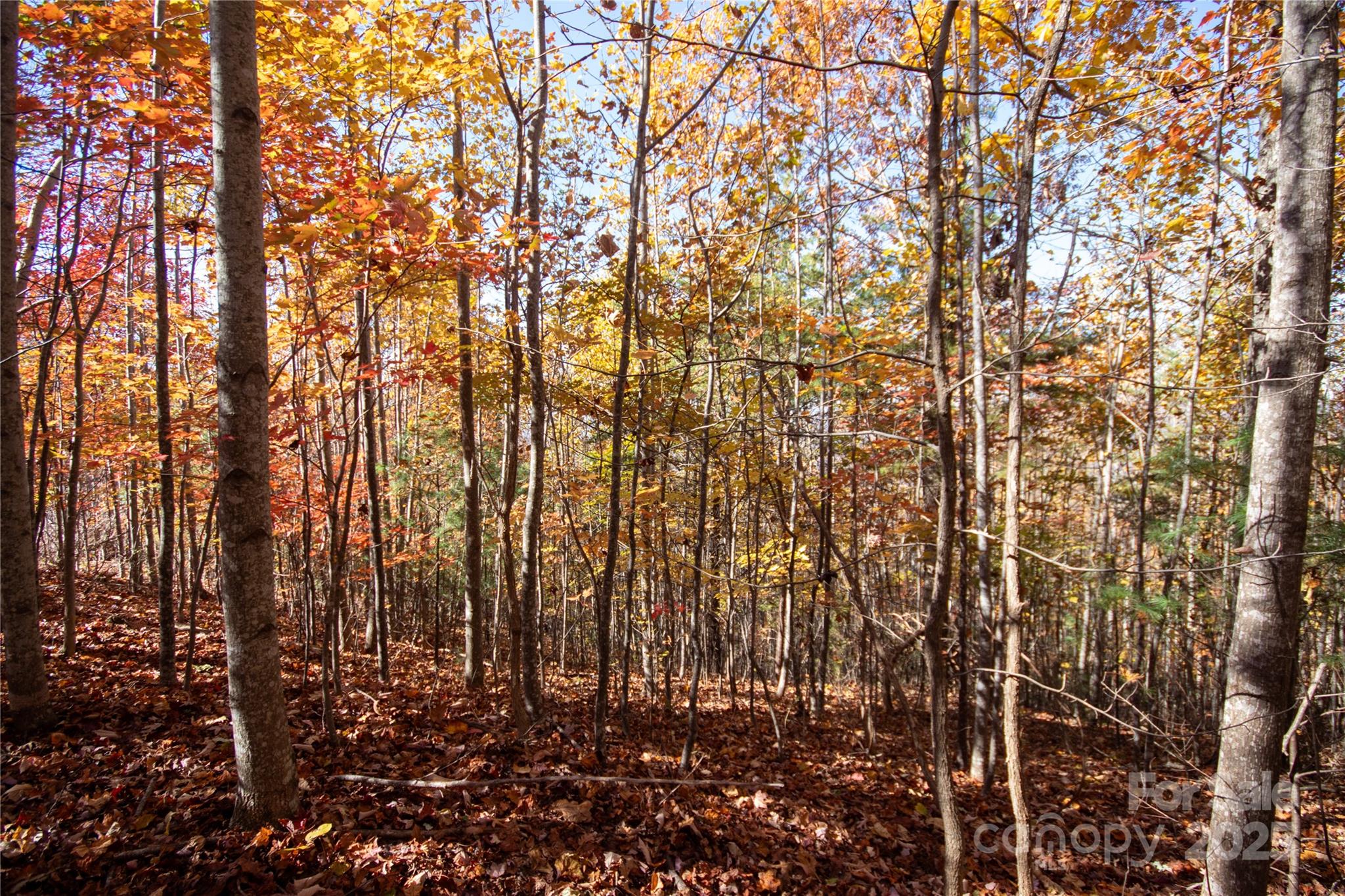 Lot# 4 Peregrine Terrace Lenoir NC 28645