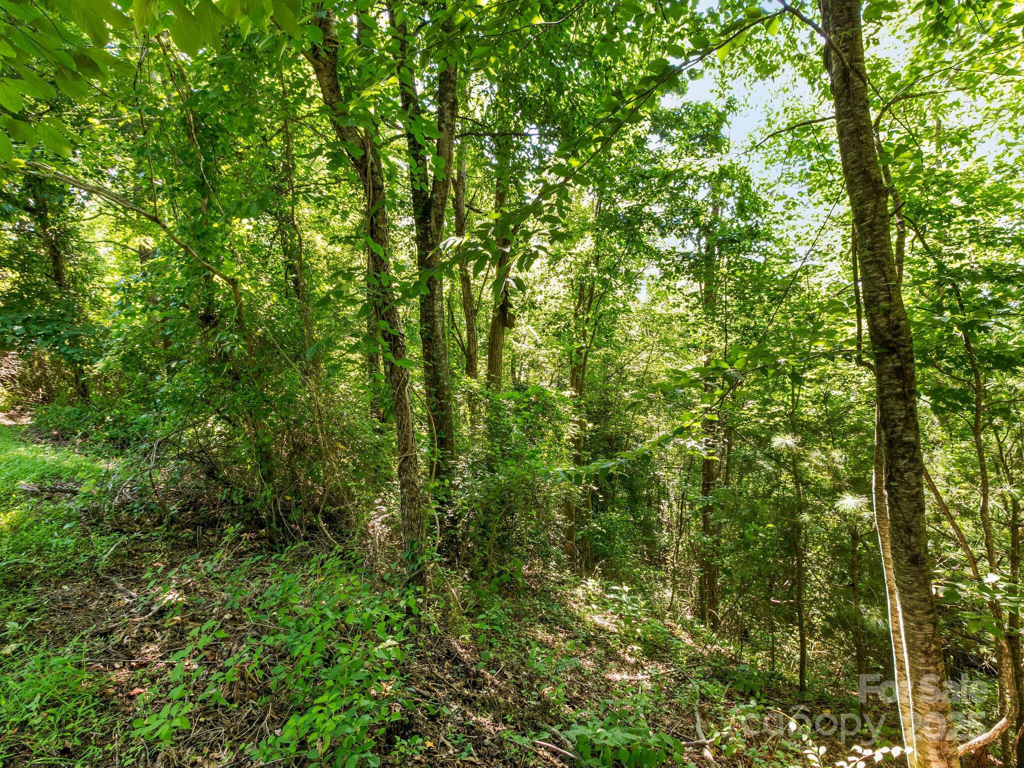 9999 Stone Valley Way Hendersonville NC 28792