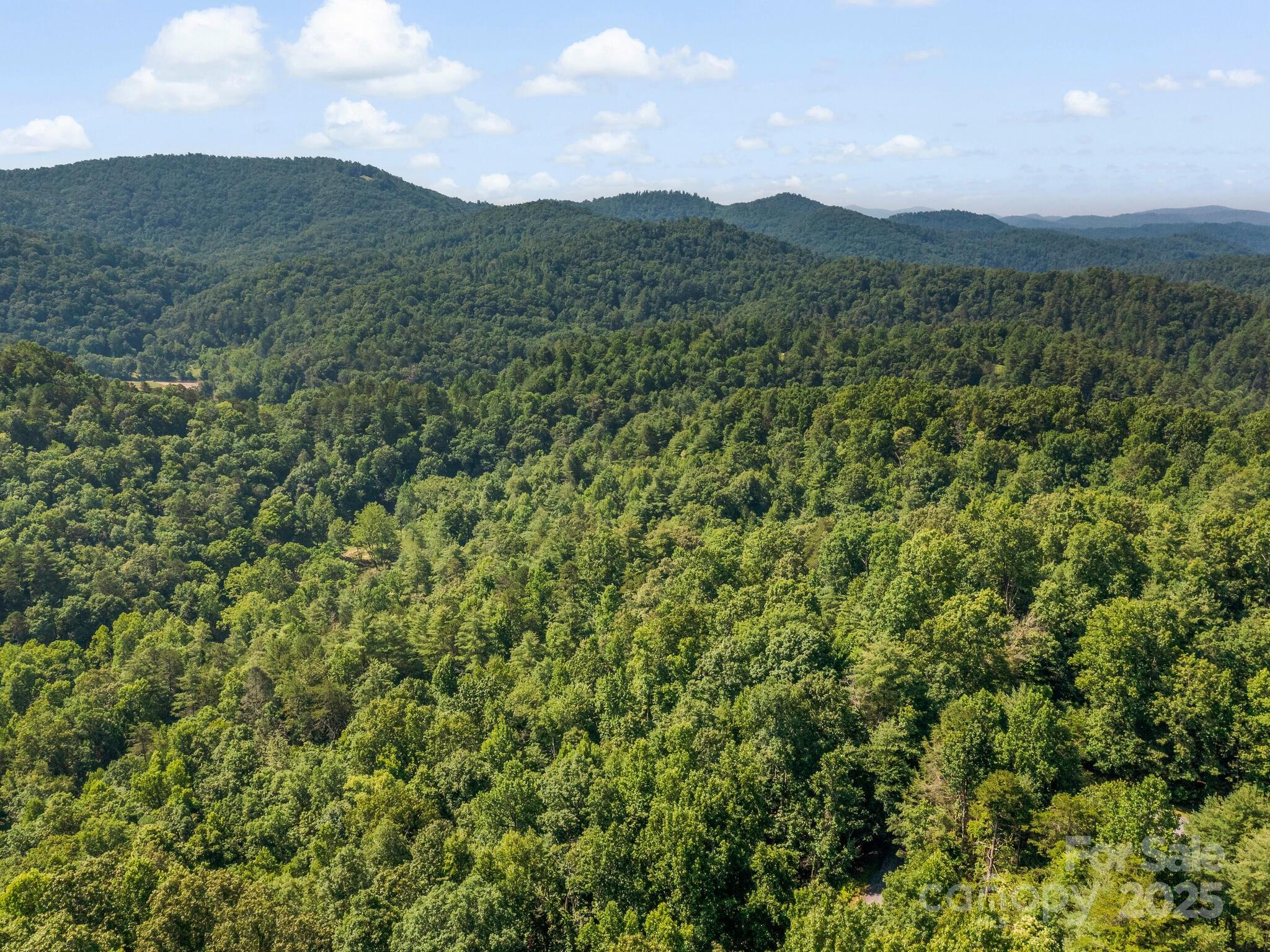 9999 Stone Valley Way Hendersonville NC 28792