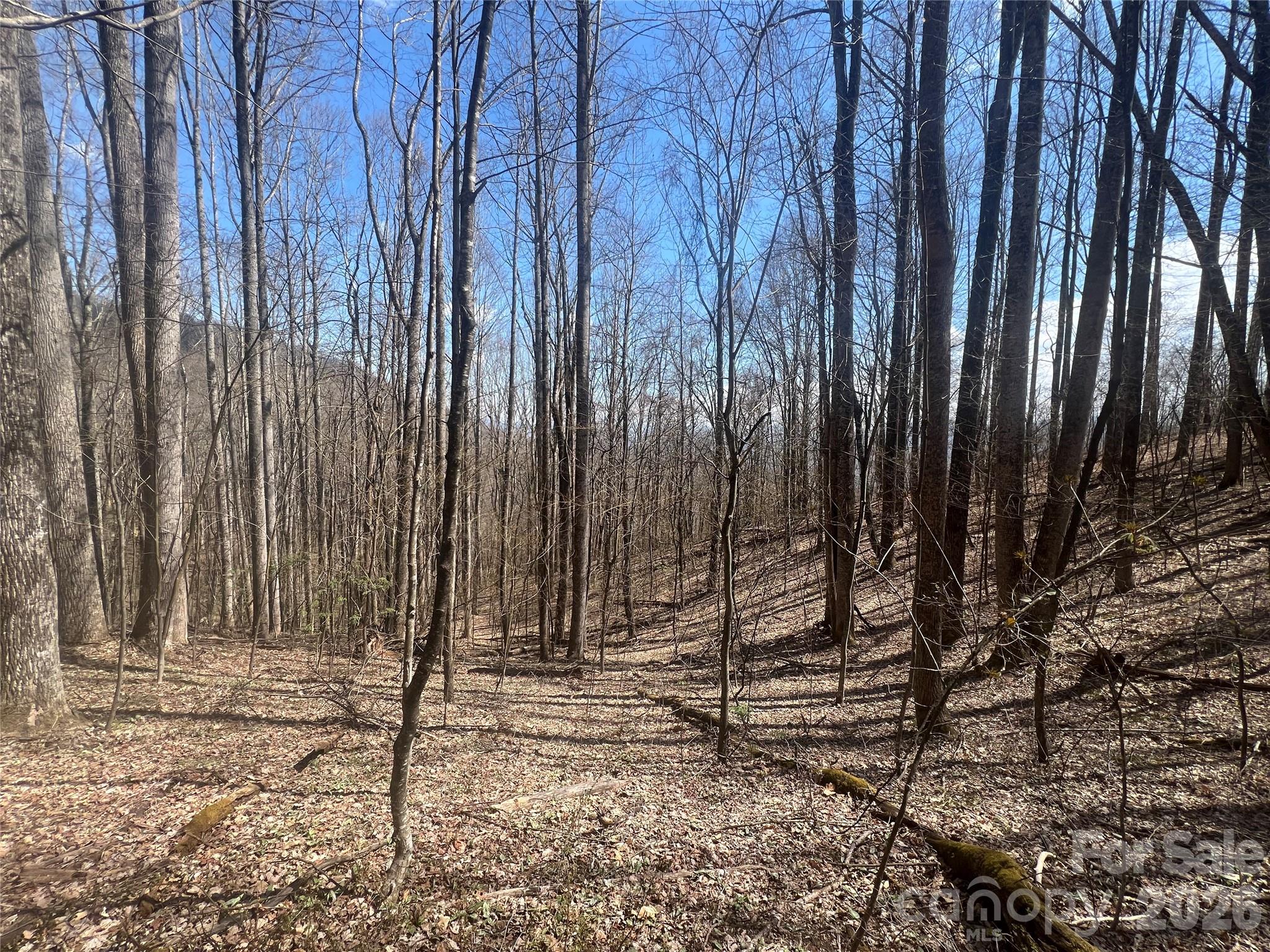 200 Wolverine Court Waynesville NC 28785