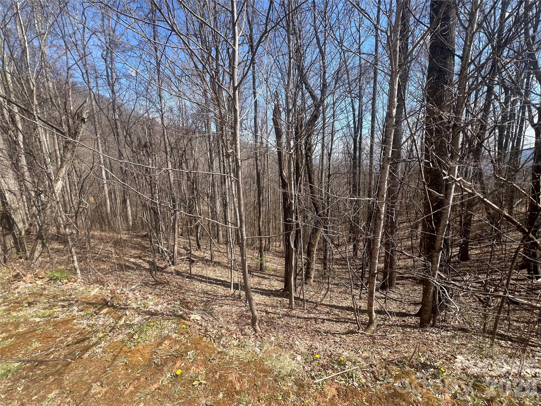 200 Wolverine Court Waynesville NC 28785