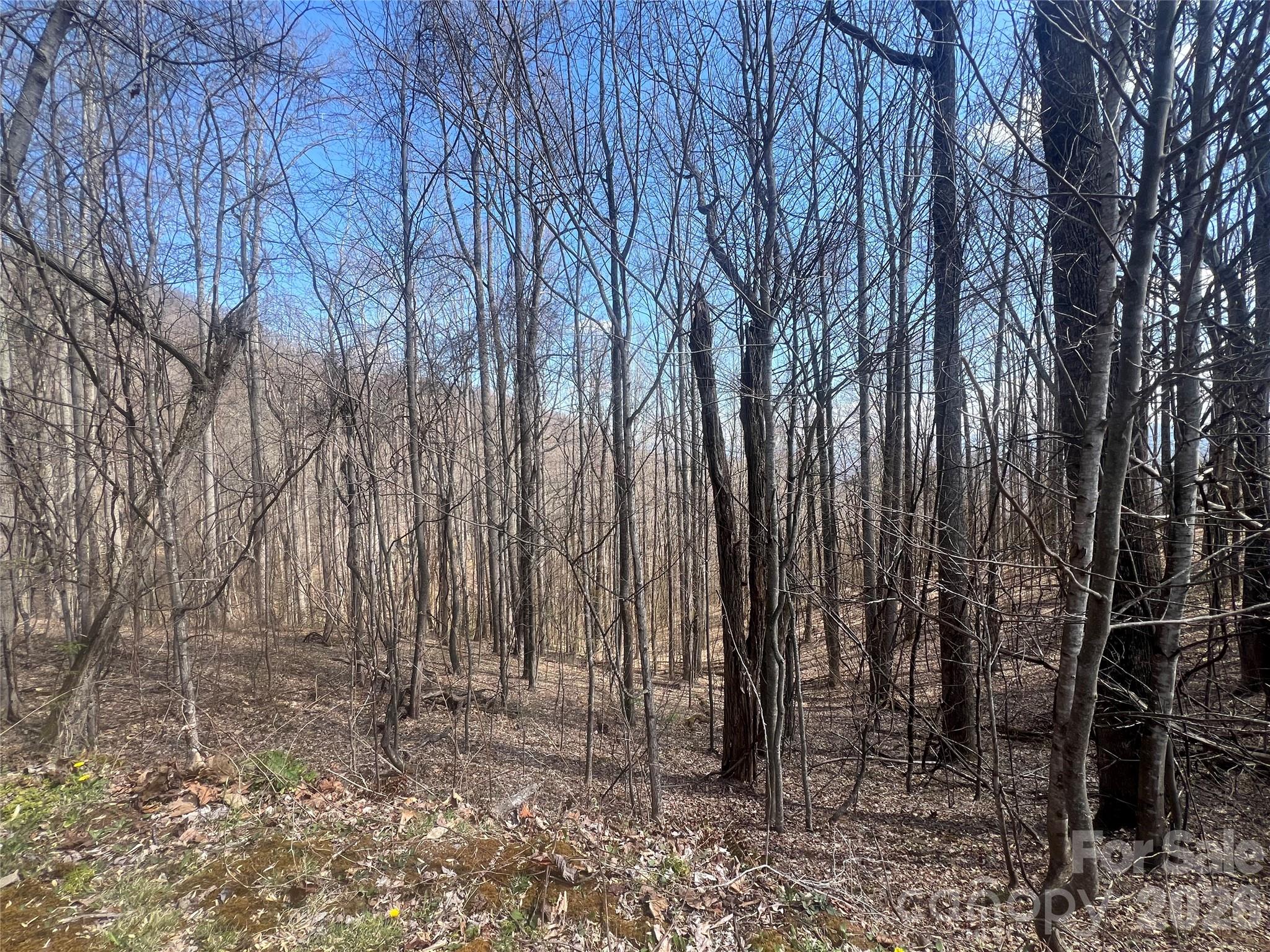 200 Wolverine Court Waynesville NC 28785