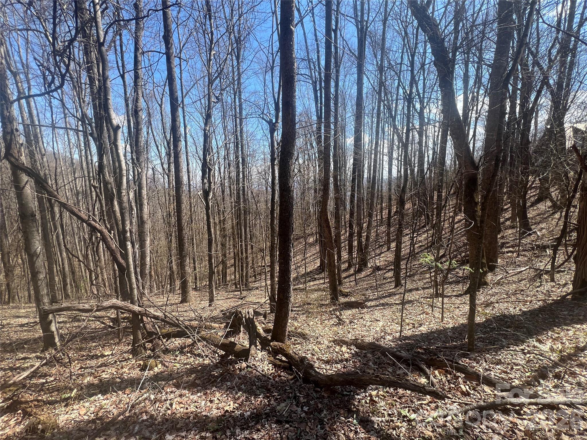 200 Wolverine Court Waynesville NC 28785