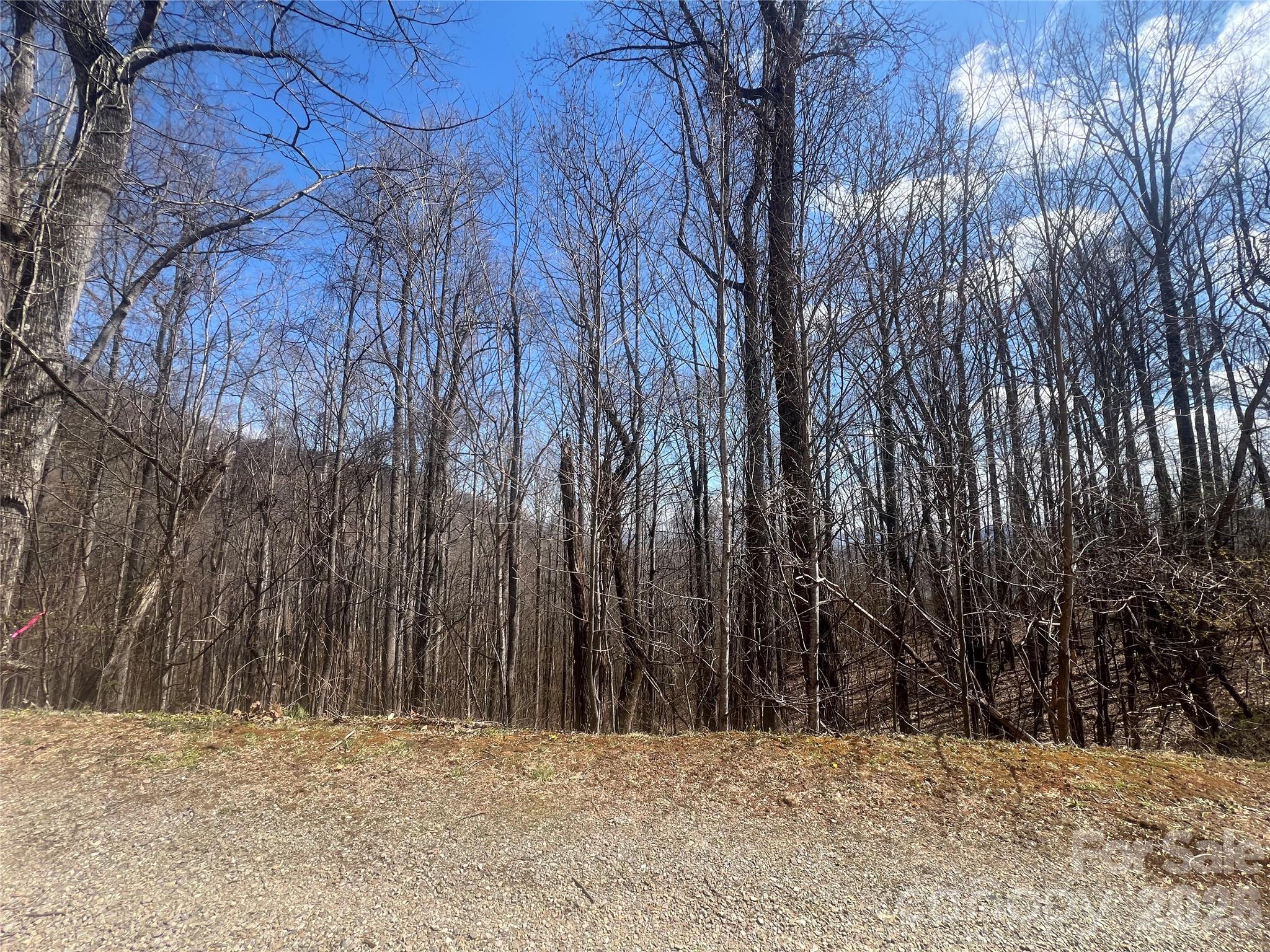 200 Wolverine Court Waynesville NC 28785