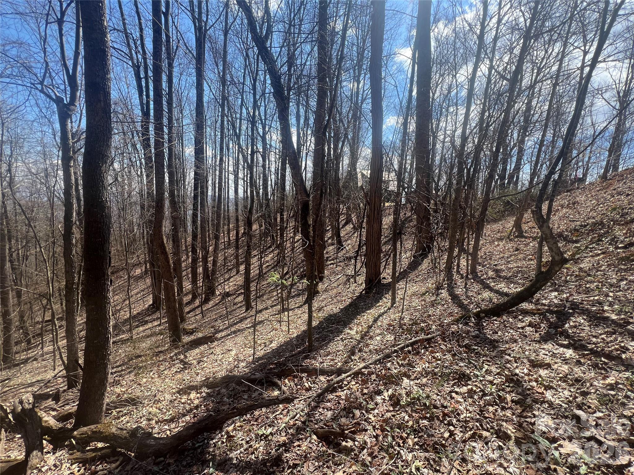 200 Wolverine Court Waynesville NC 28785