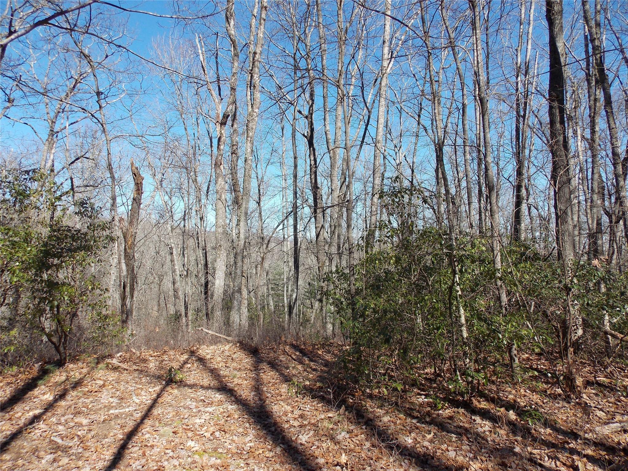 Tbd Raynolds Ridge Lake Toxaway NC 28747