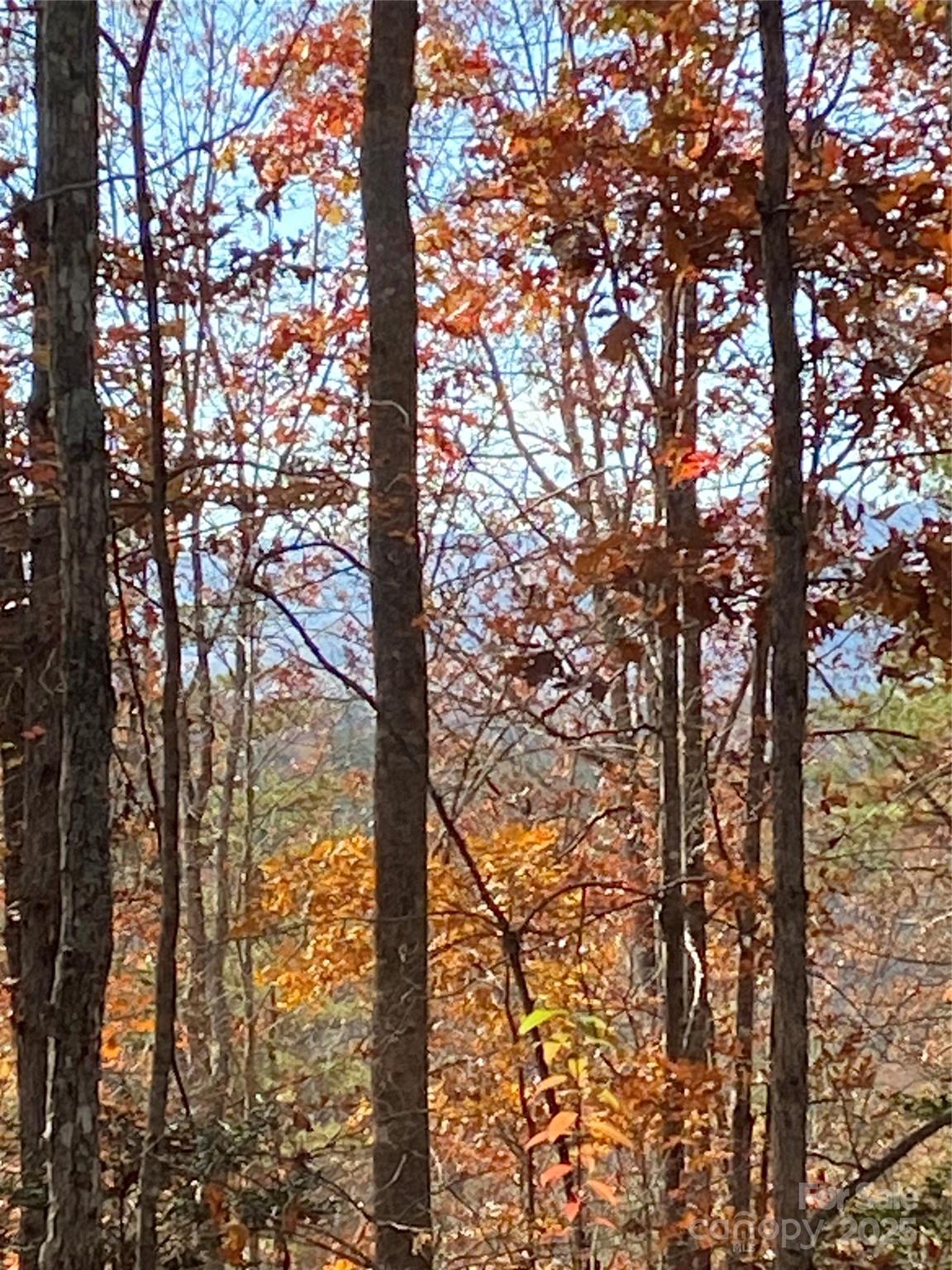 Lot 28 Mentink Way Nebo NC 28761
