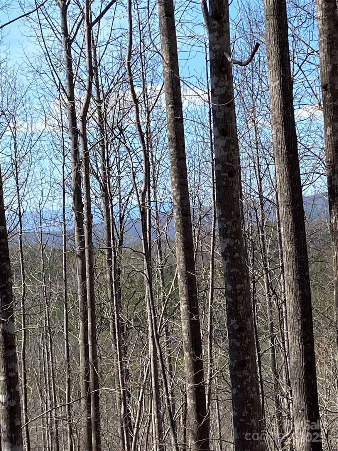 Lot 28 Mentink Way Nebo NC 28761