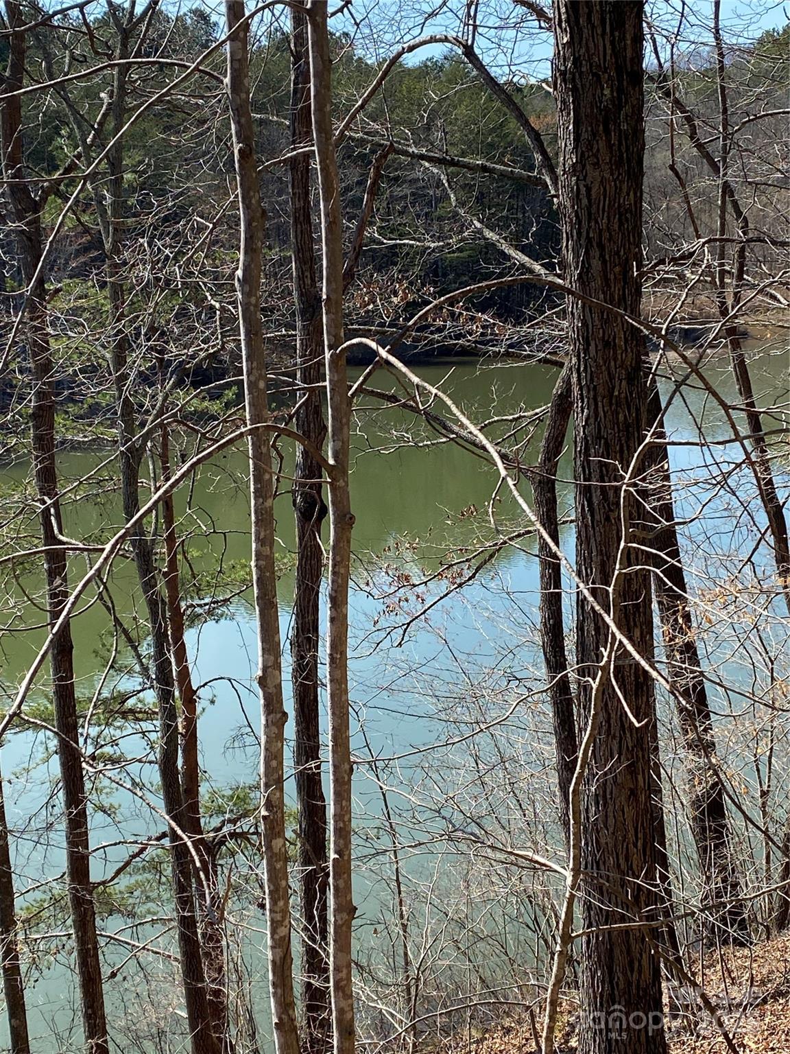 Lot 28 Mentink Way Nebo NC 28761