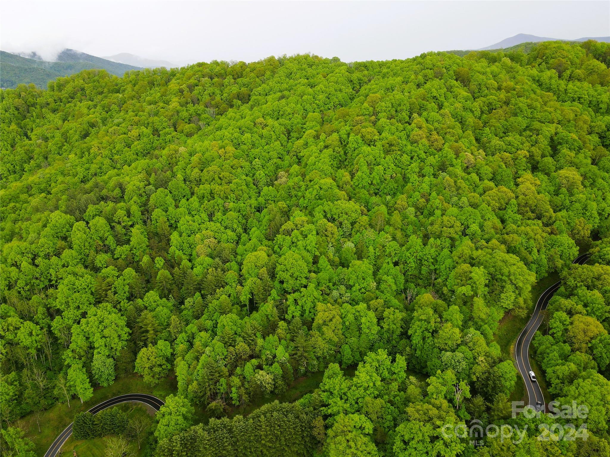 000 Mountain Air Drive Burnsville NC 28714
