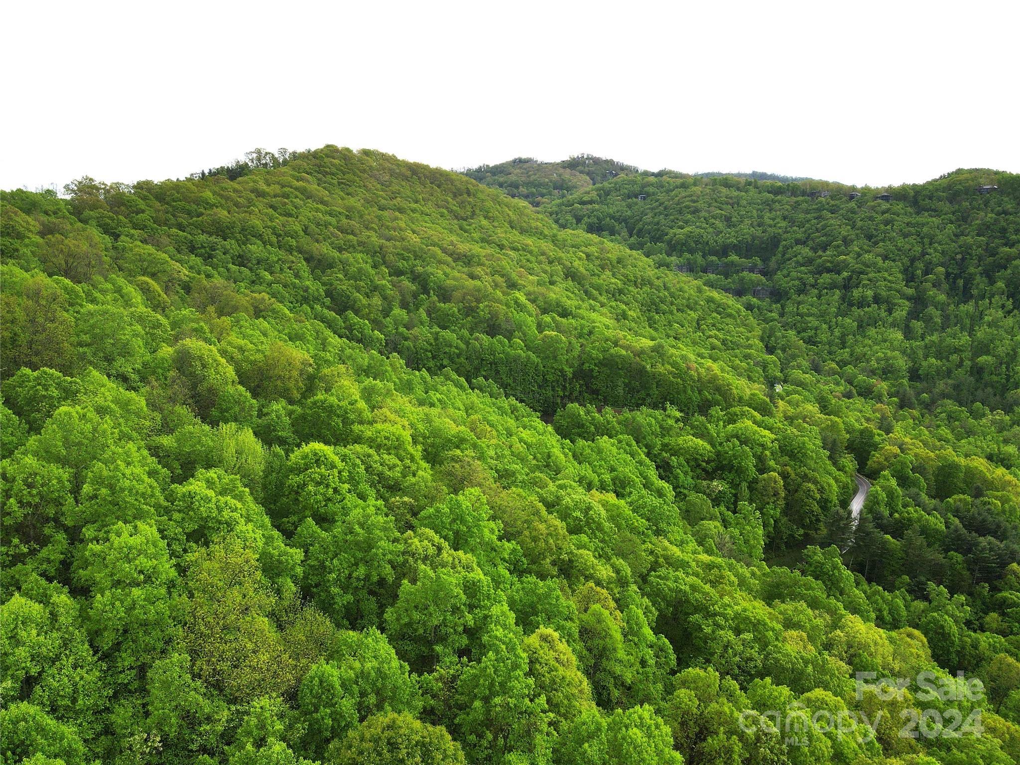 000 Mountain Air Drive Burnsville NC 28714