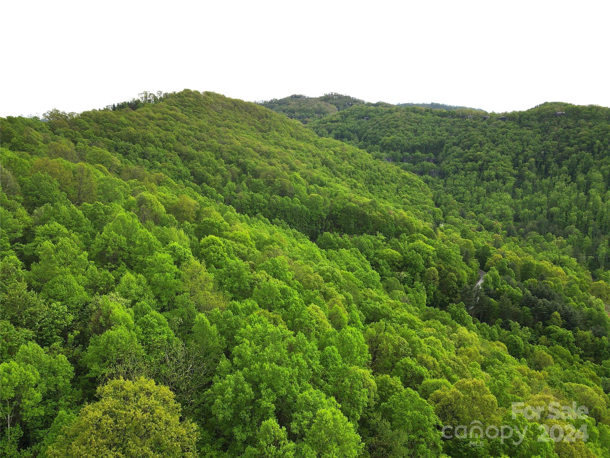 000 Mountain Air Drive Burnsville NC 28714
