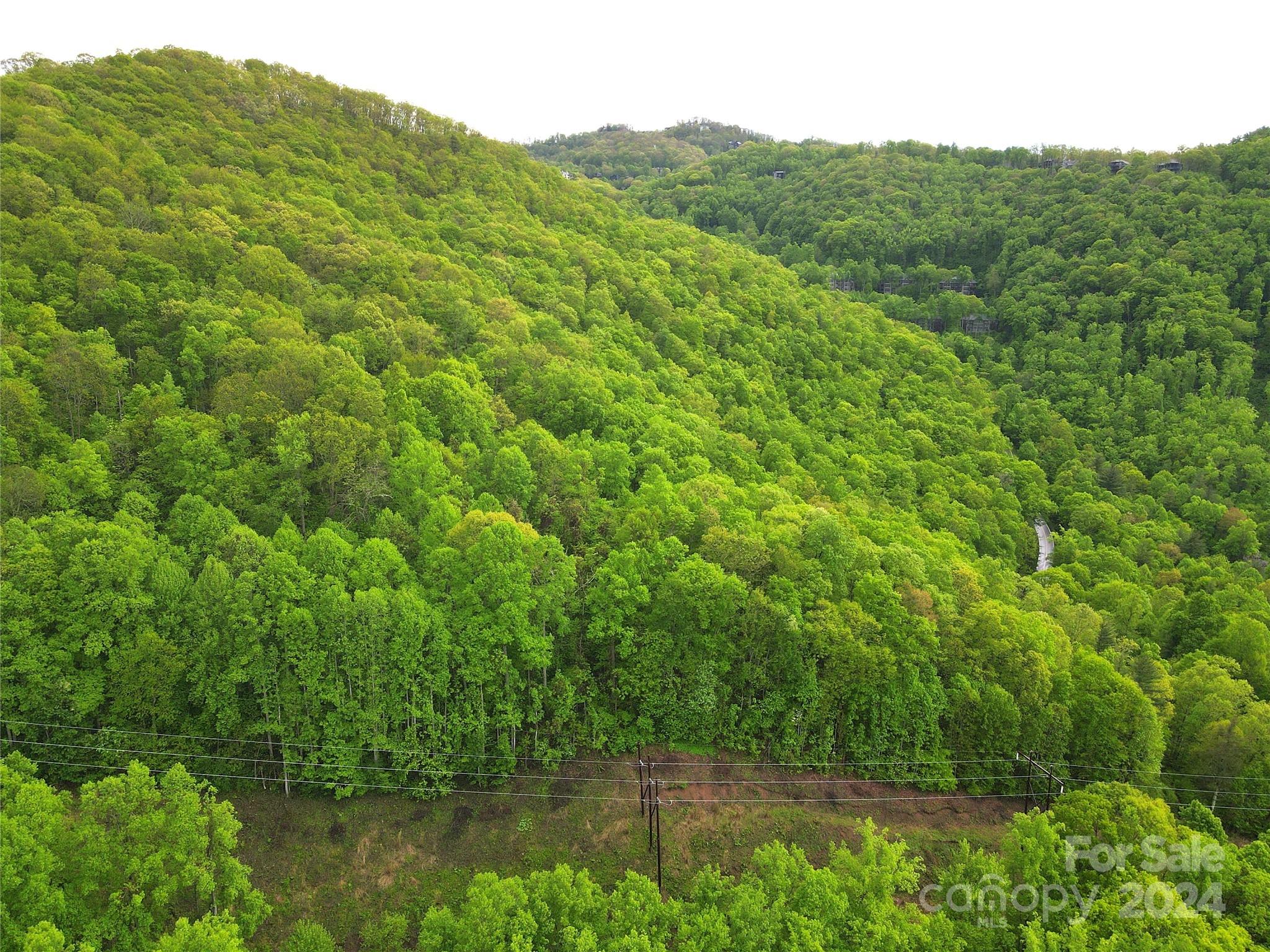 000 Mountain Air Drive Burnsville NC 28714
