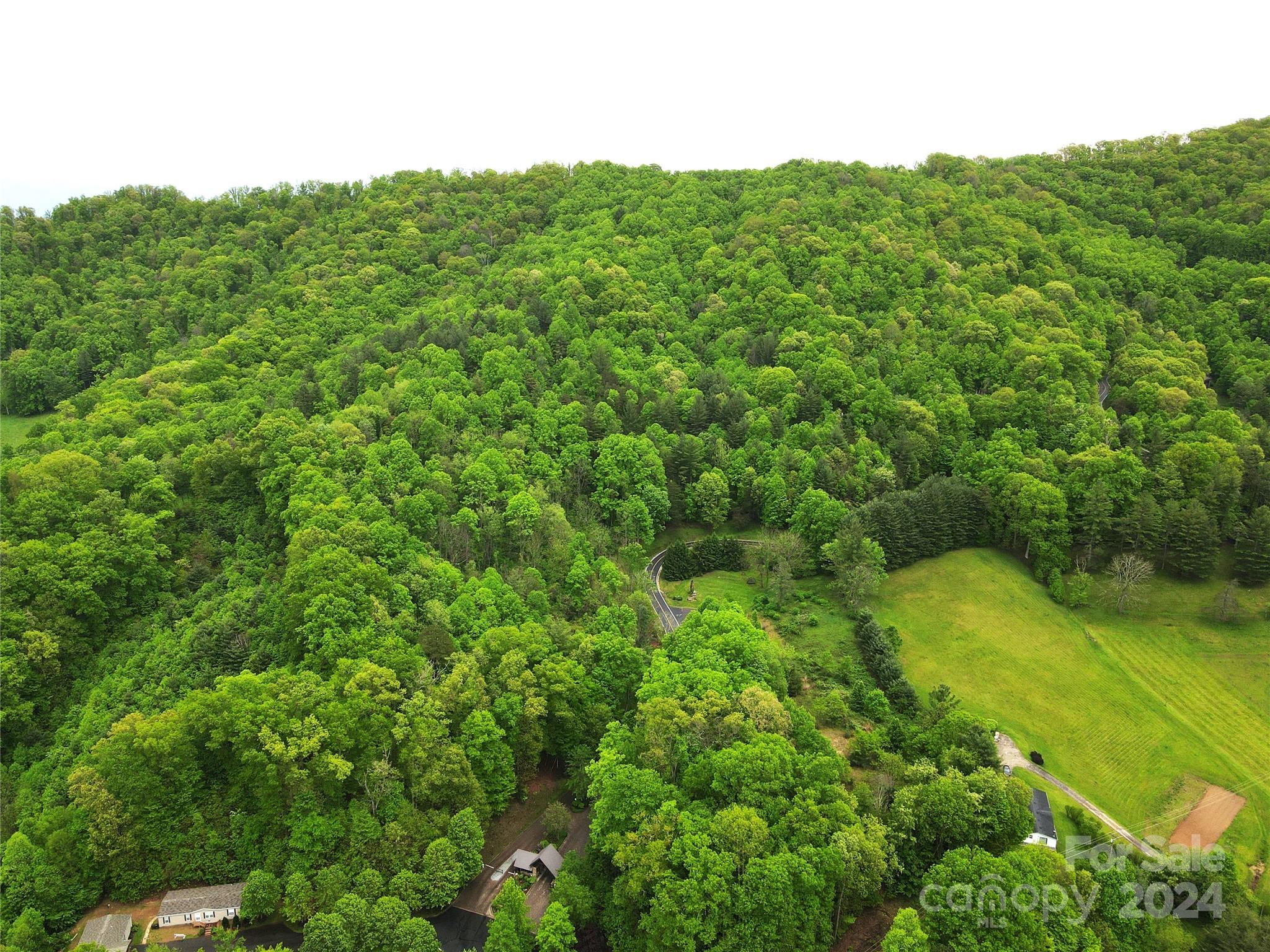000 Mountain Air Drive Burnsville NC 28714