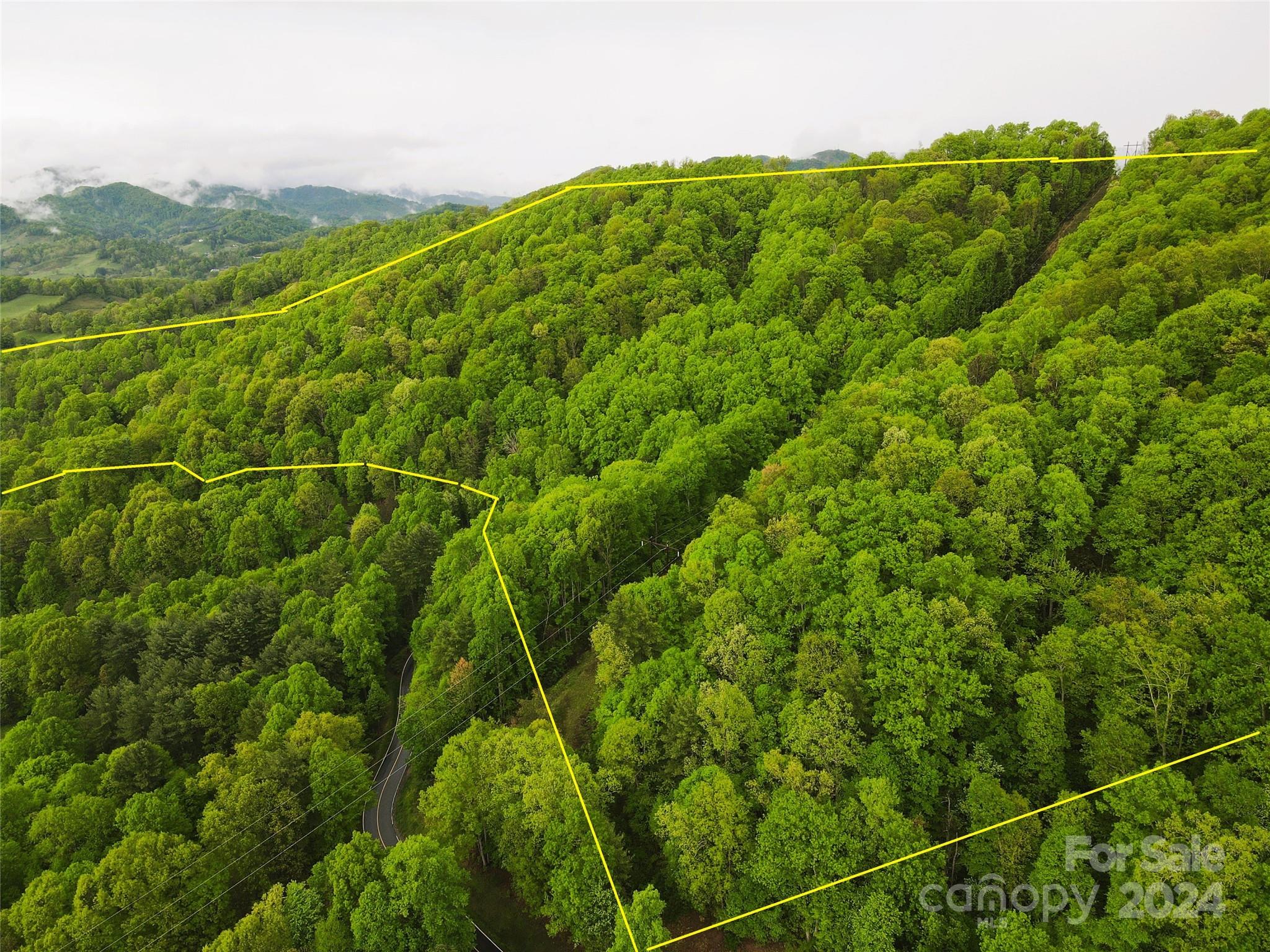 000 Mountain Air Drive Burnsville NC 28714