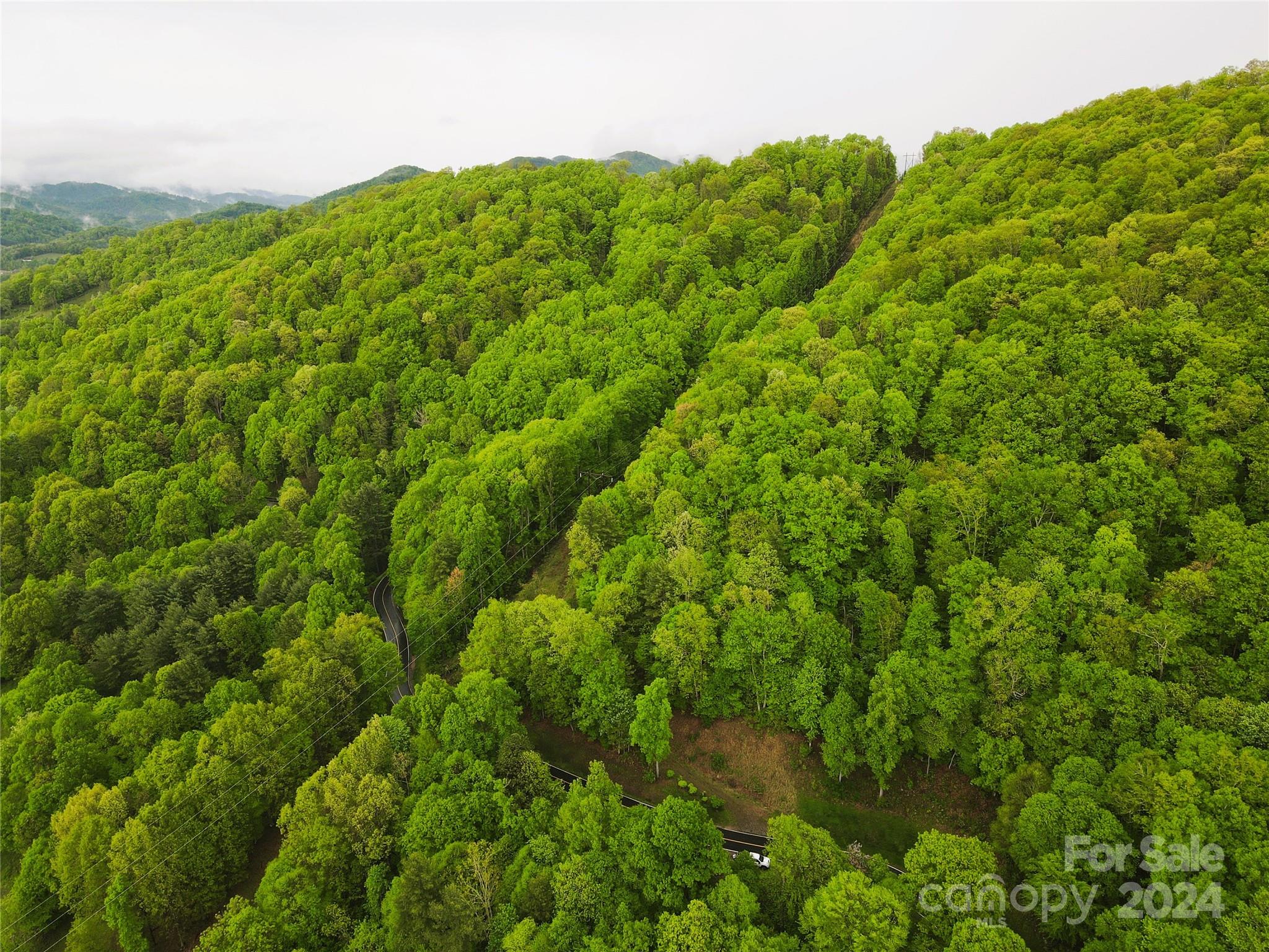 000 Mountain Air Drive Burnsville NC 28714