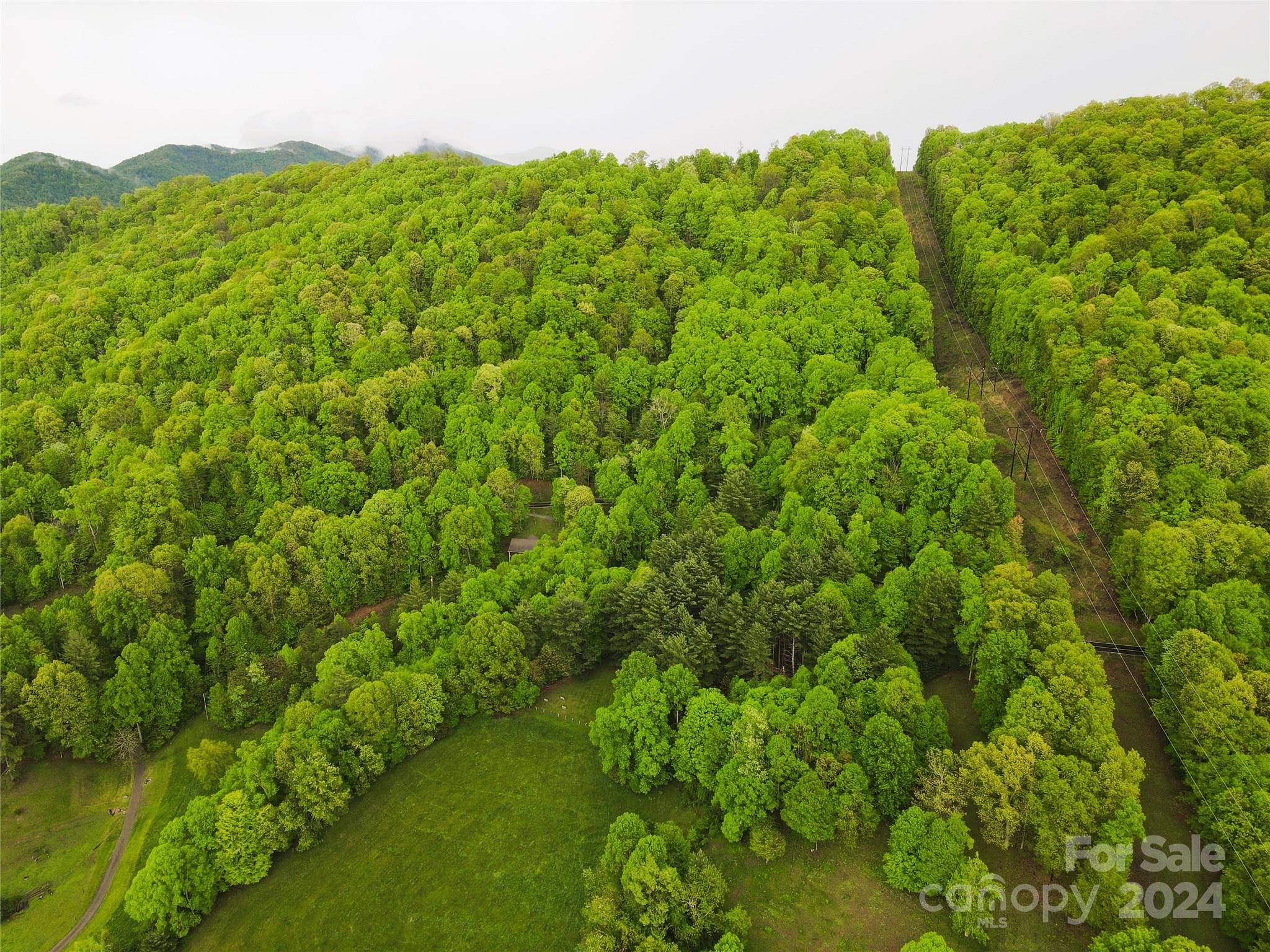 000 Mountain Air Drive Burnsville NC 28714