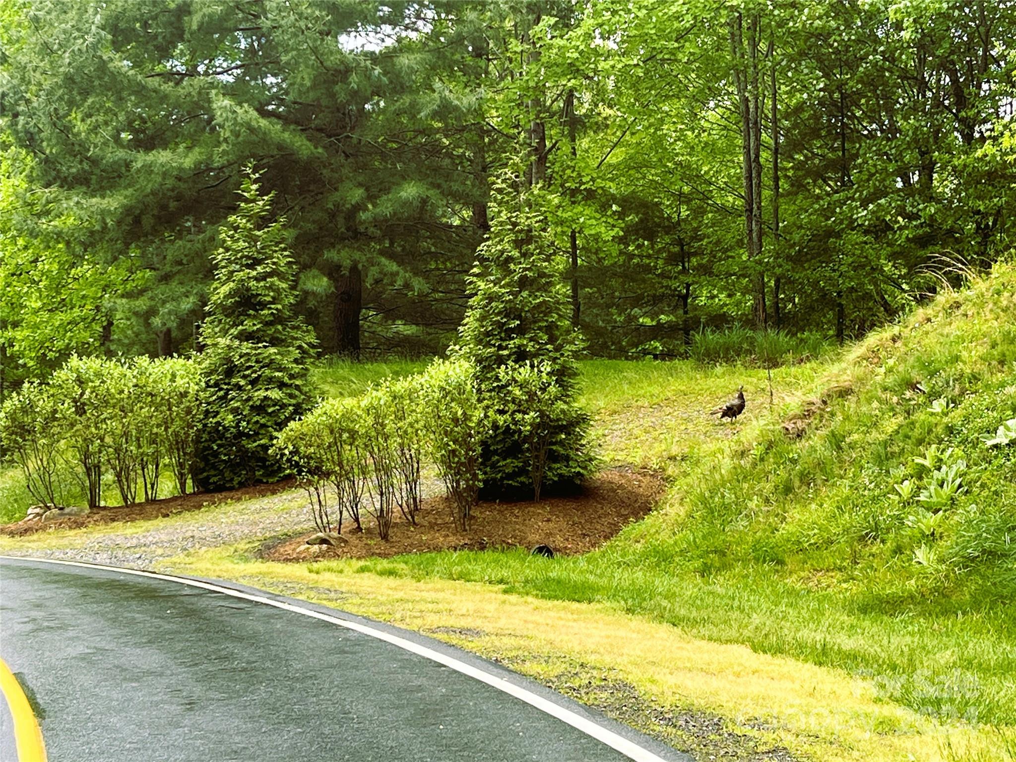 000 Mountain Air Drive Burnsville NC 28714