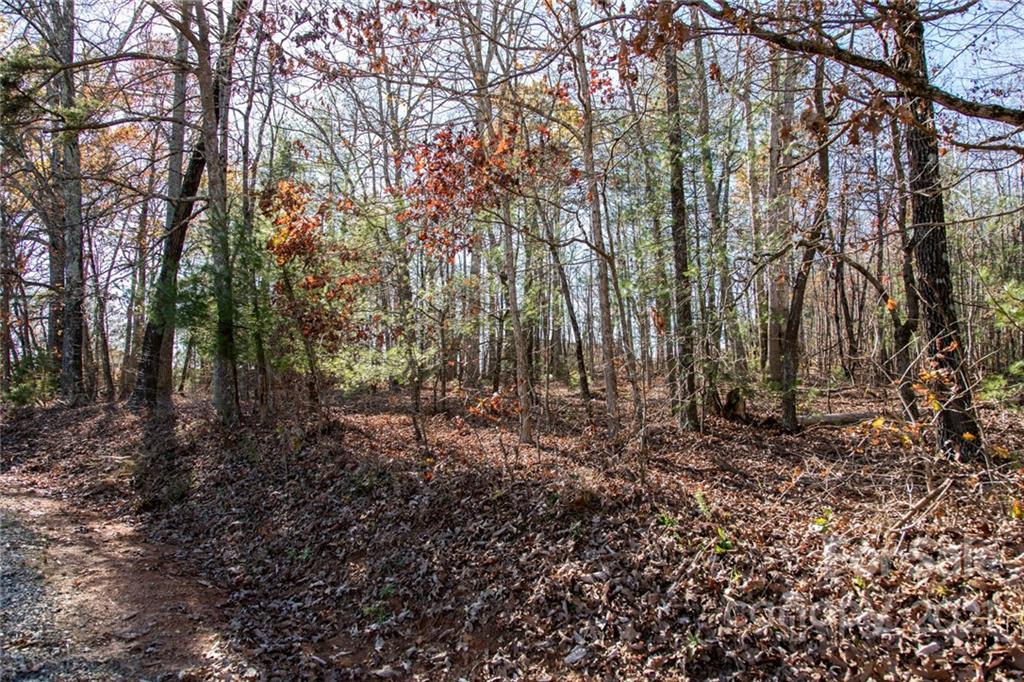 8479 Huffman Avenue Connelly Springs NC 28612