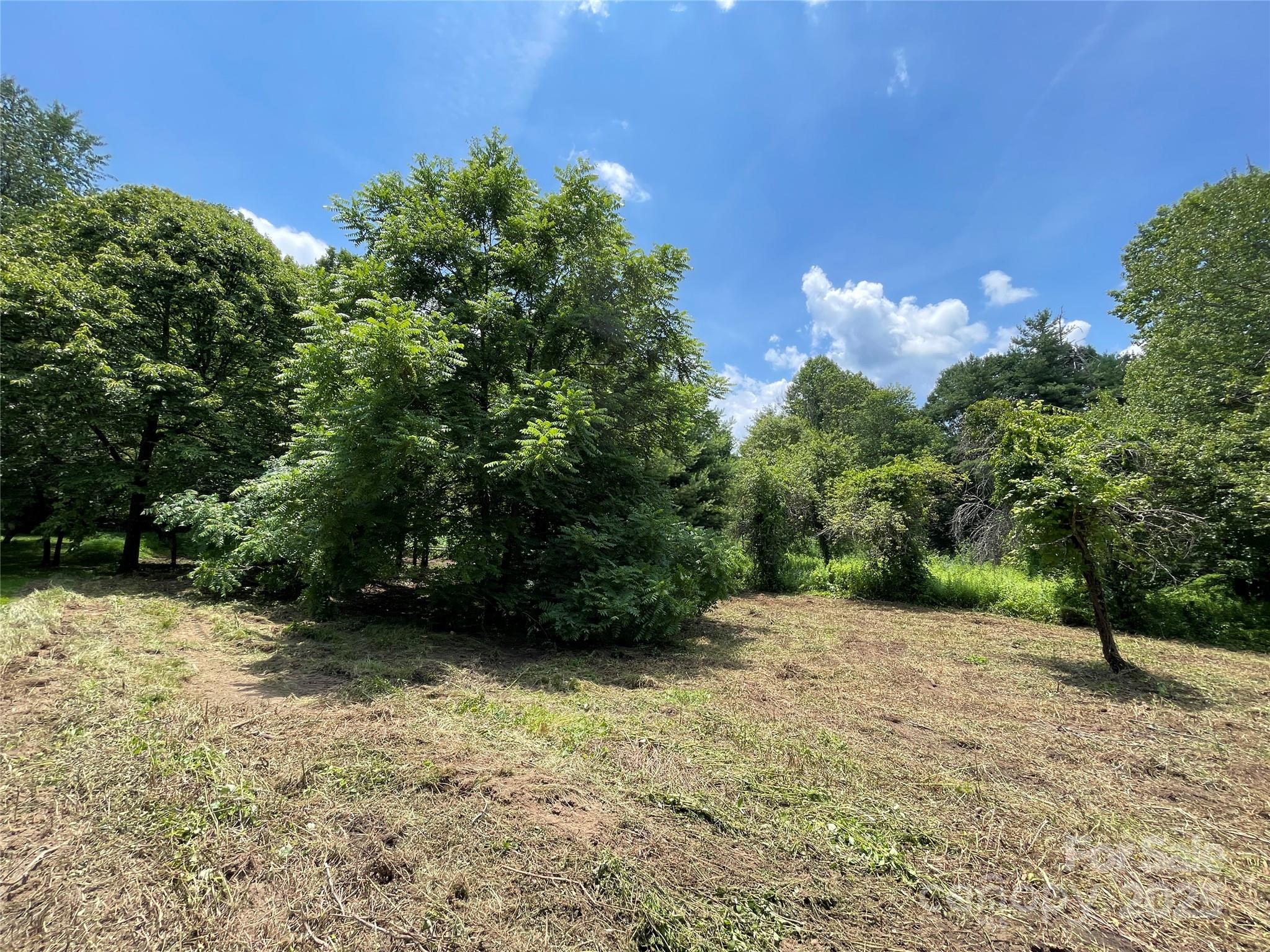 150 Founders Drive Flat Rock NC 28731