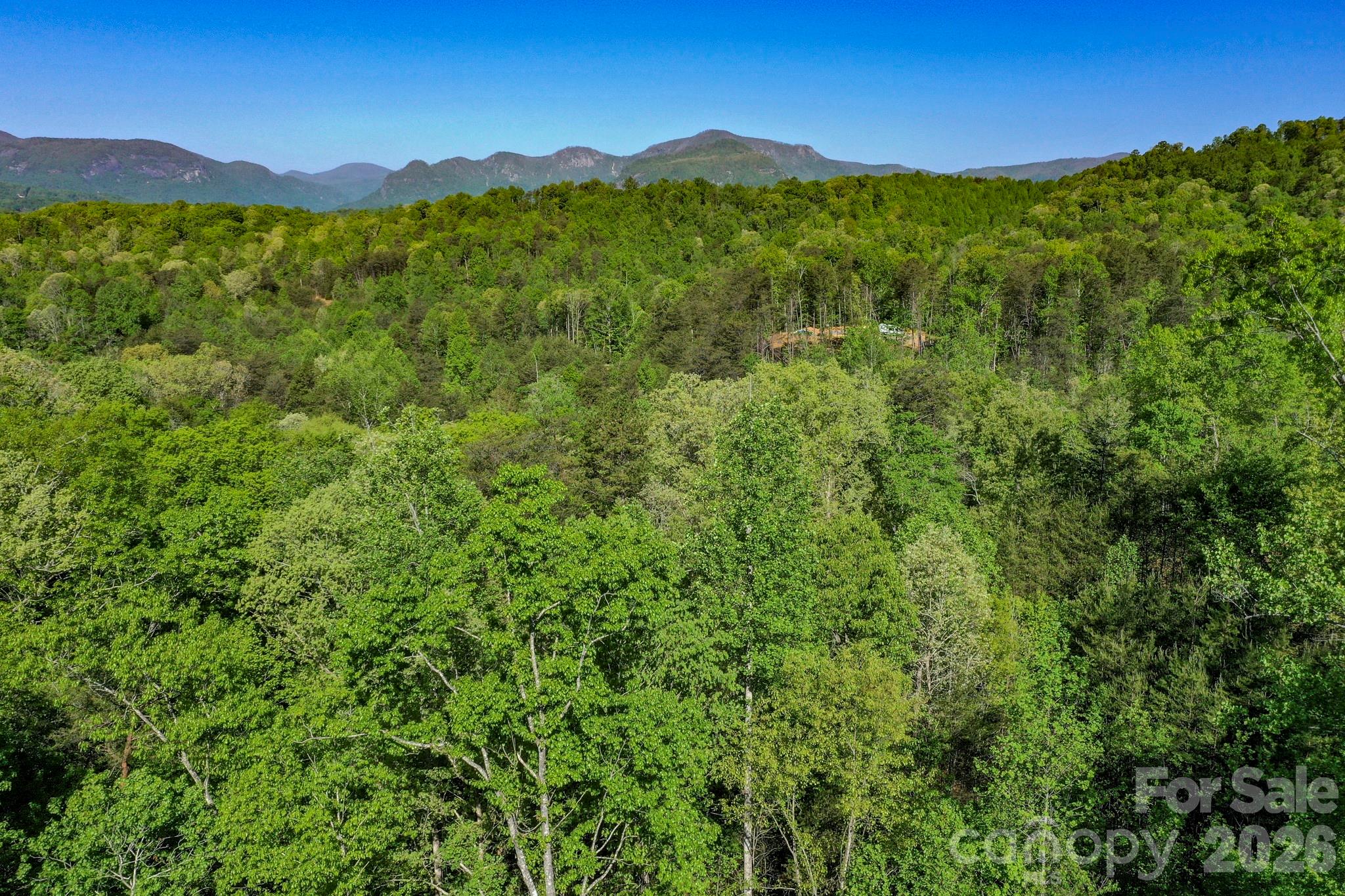 0 Willow Top Lane Lake Lure NC 28746