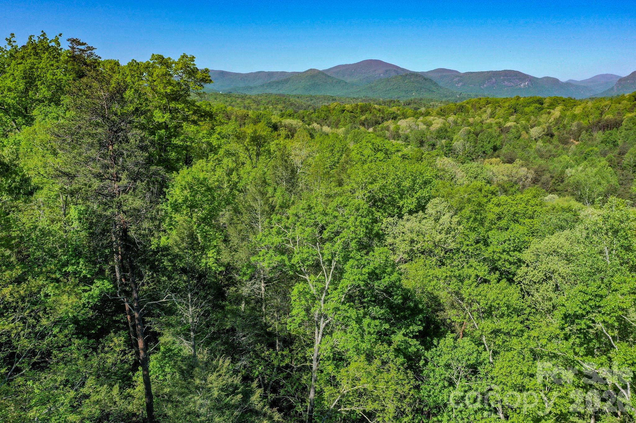 0 Willow Top Lane Lake Lure NC 28746