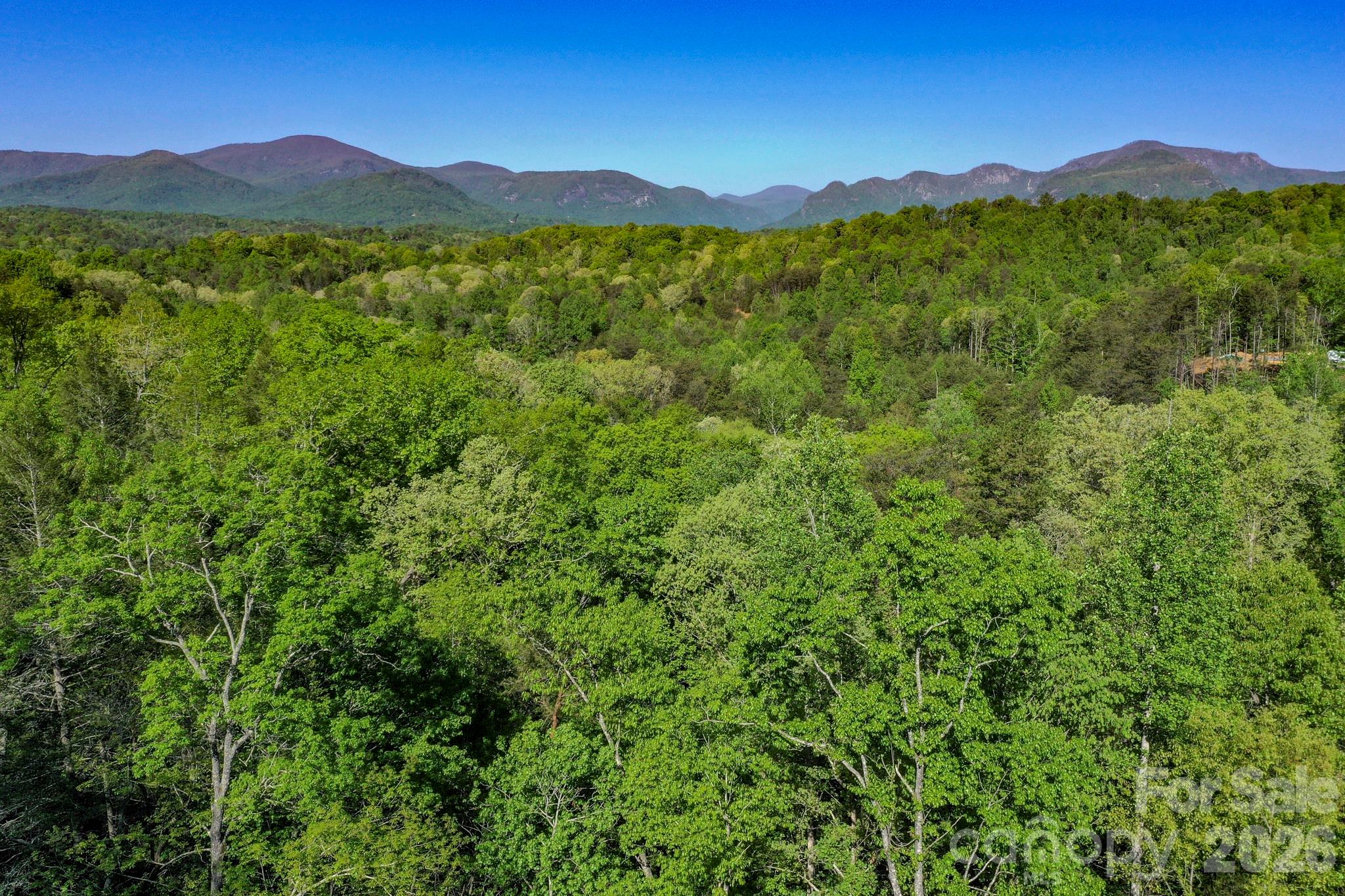 0 Willow Top Lane Lake Lure NC 28746