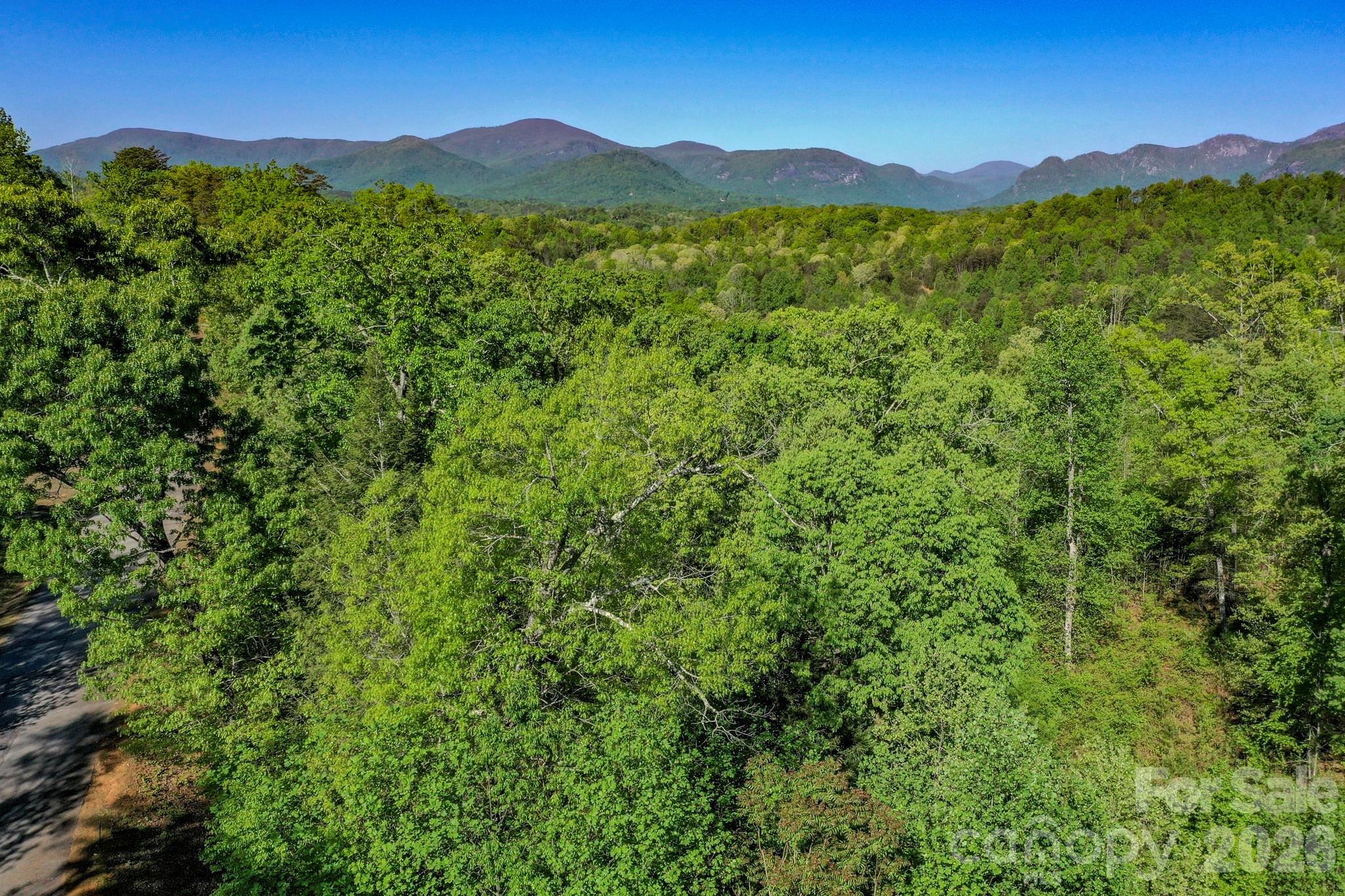 0 Willow Top Lane Lake Lure NC 28746