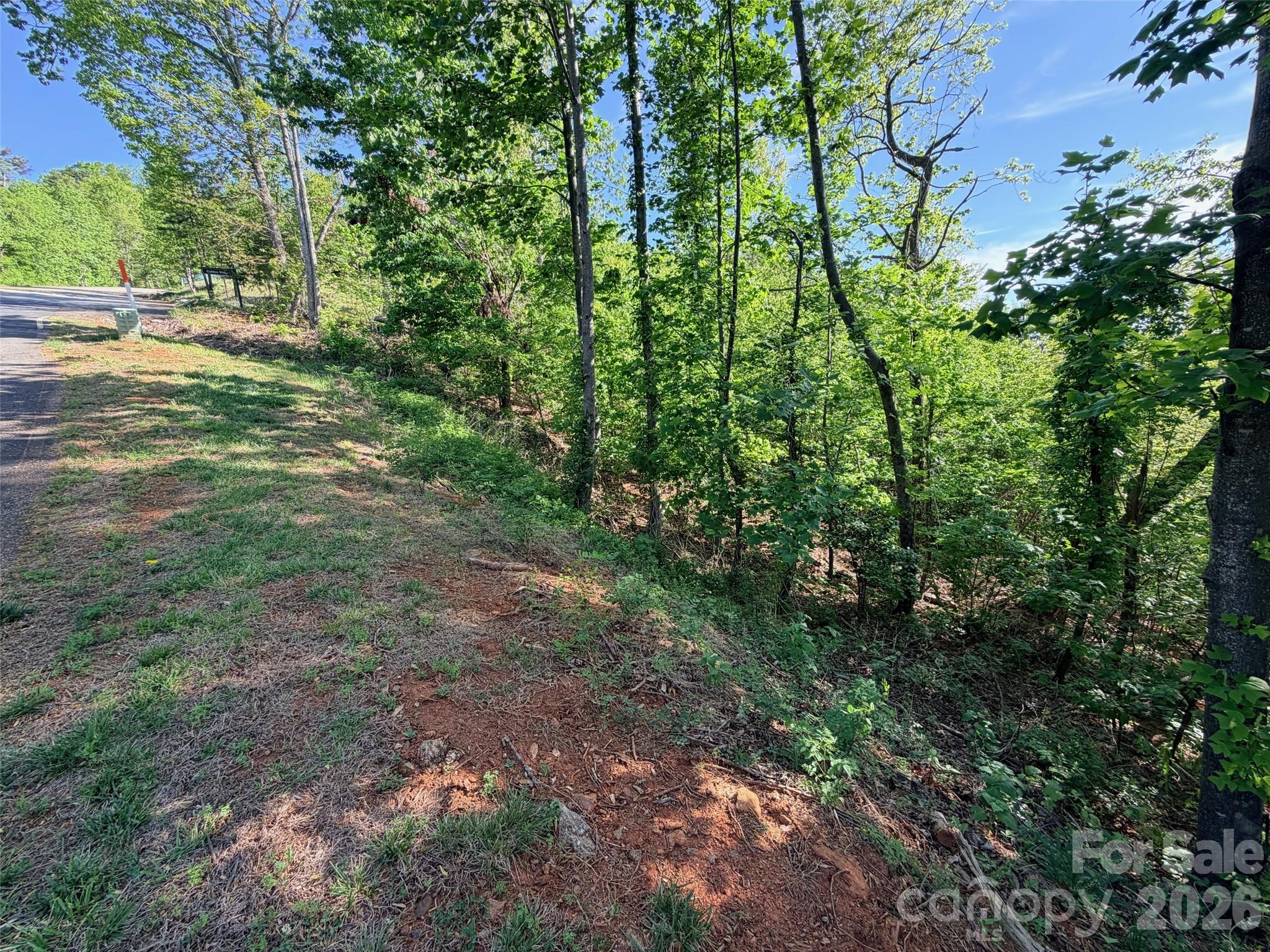 0 Willow Top Lane Lake Lure NC 28746
