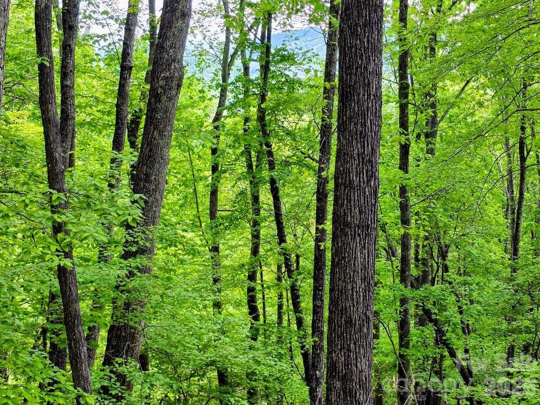 00 Hickory Springs Road Burnsville NC 28714
