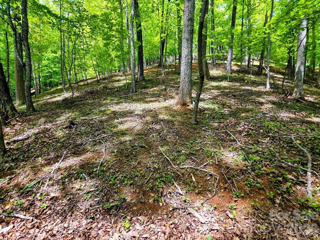 00 Hickory Springs Road Burnsville NC 28714